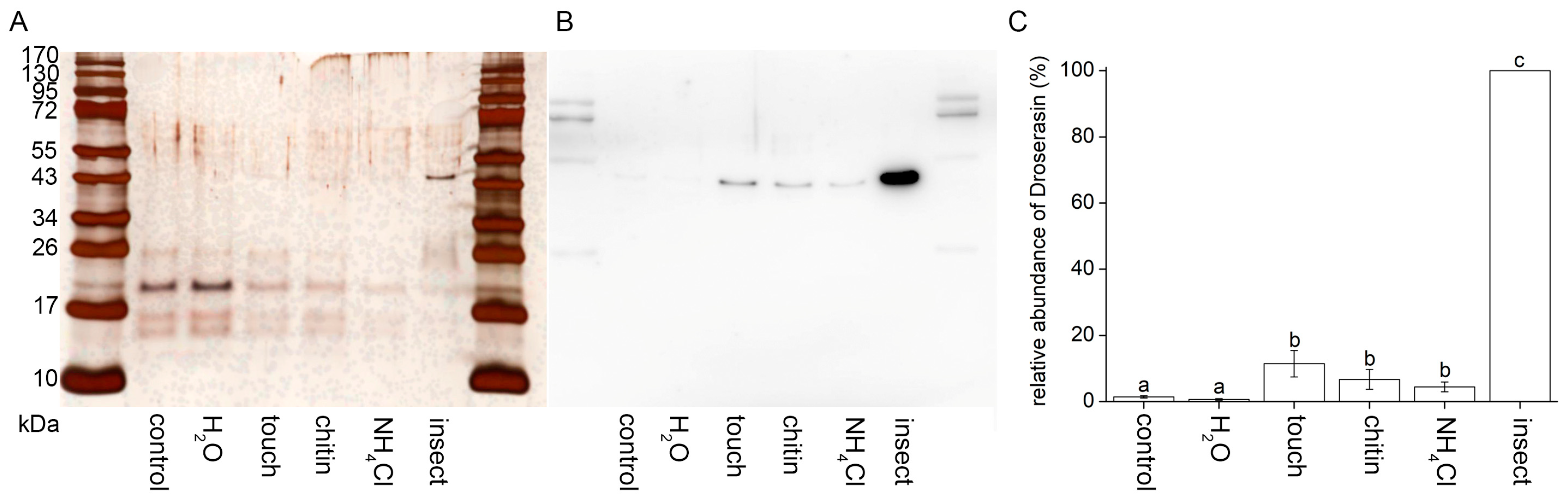 Plants 12 01820 g005