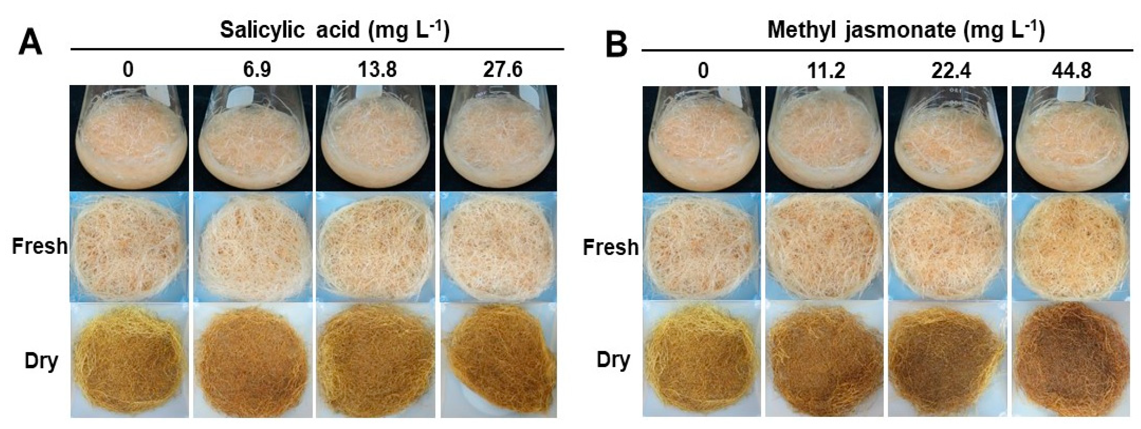 Plants 12 01821 g004 Plants 12 01821 g004