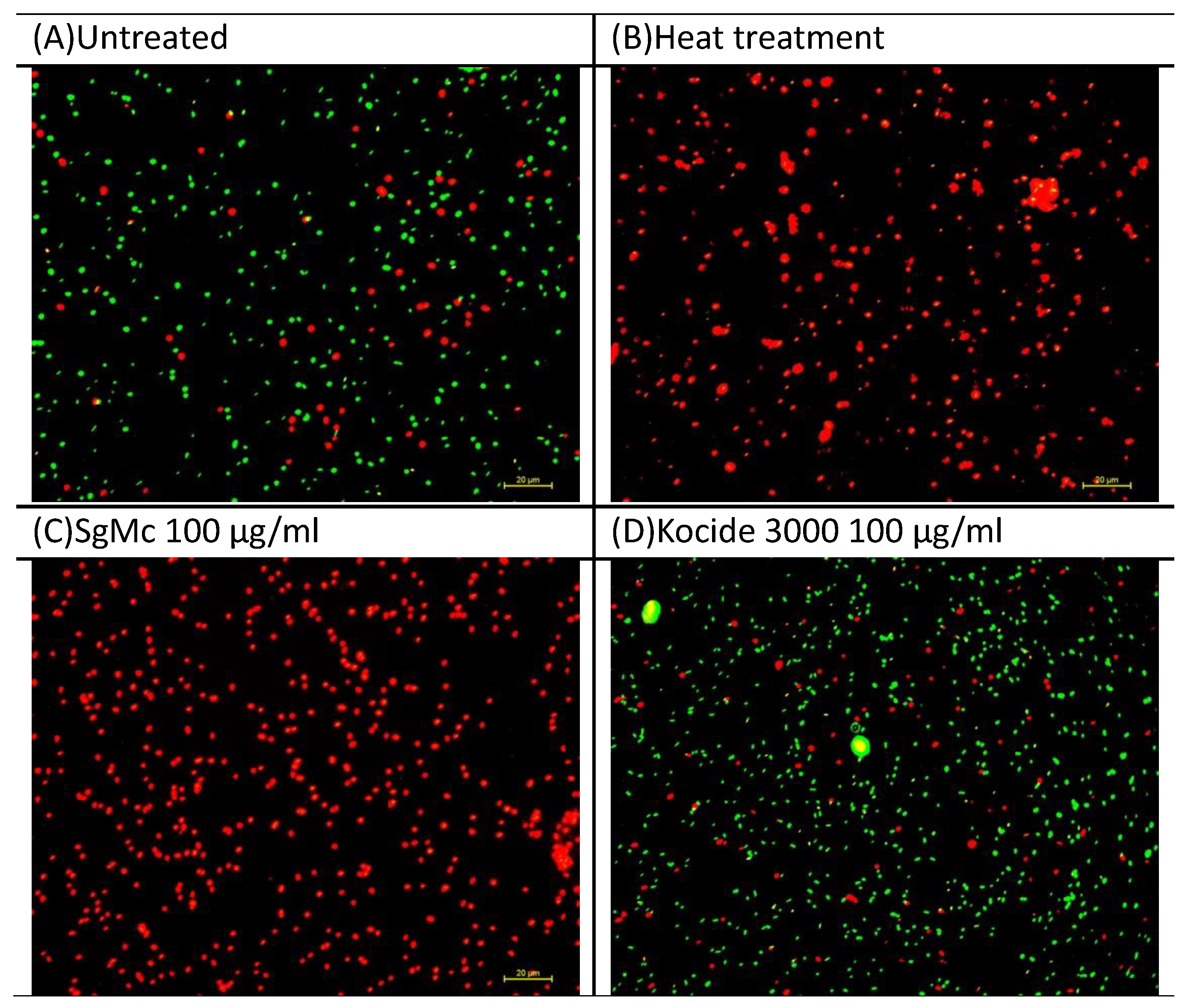 Plants 12 01832 g006