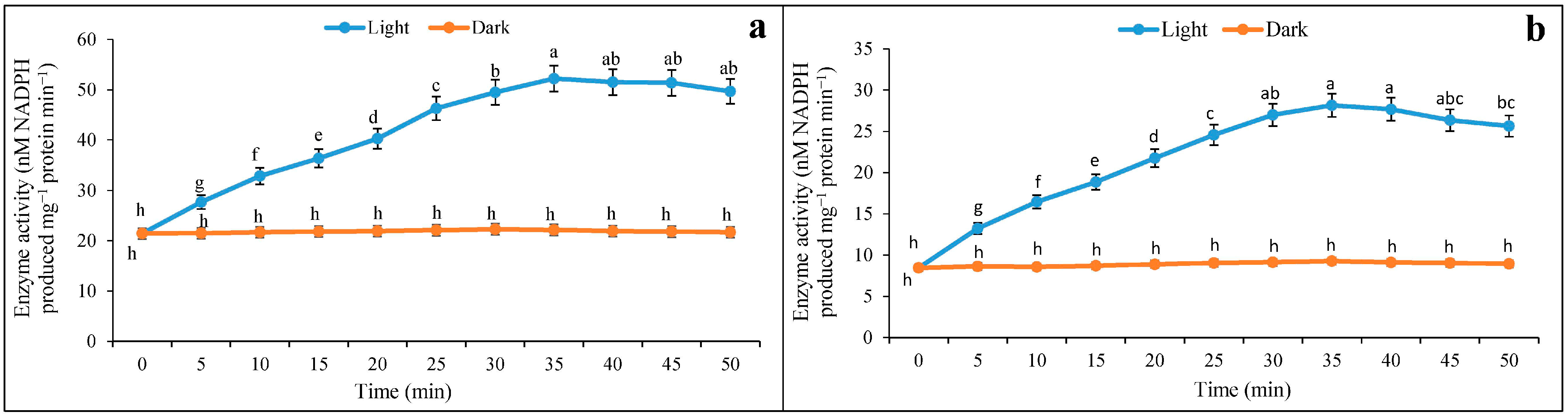 Plants 12 01836 g001