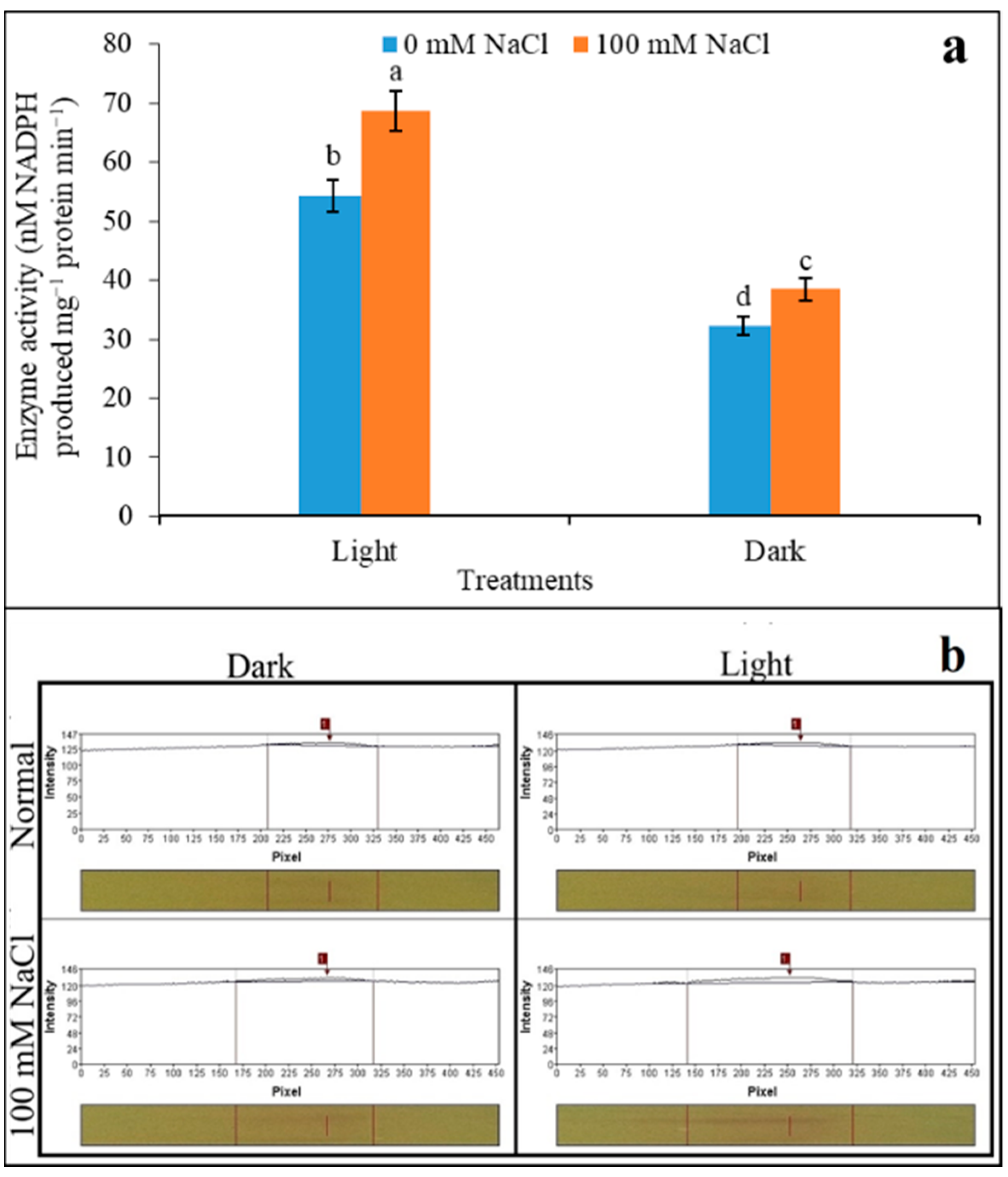 Plants 12 01836 g005