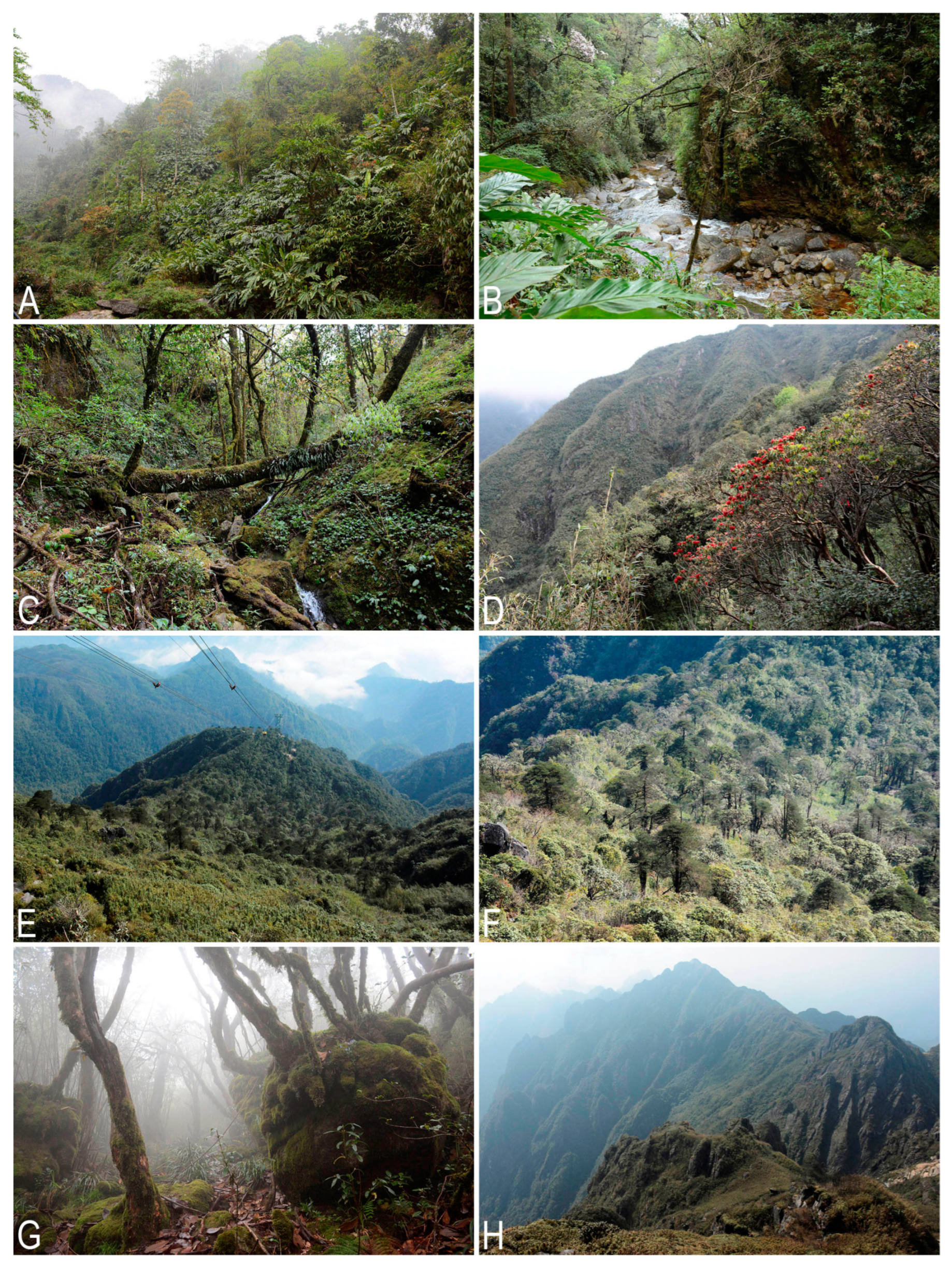 Plants 12 01841 g005