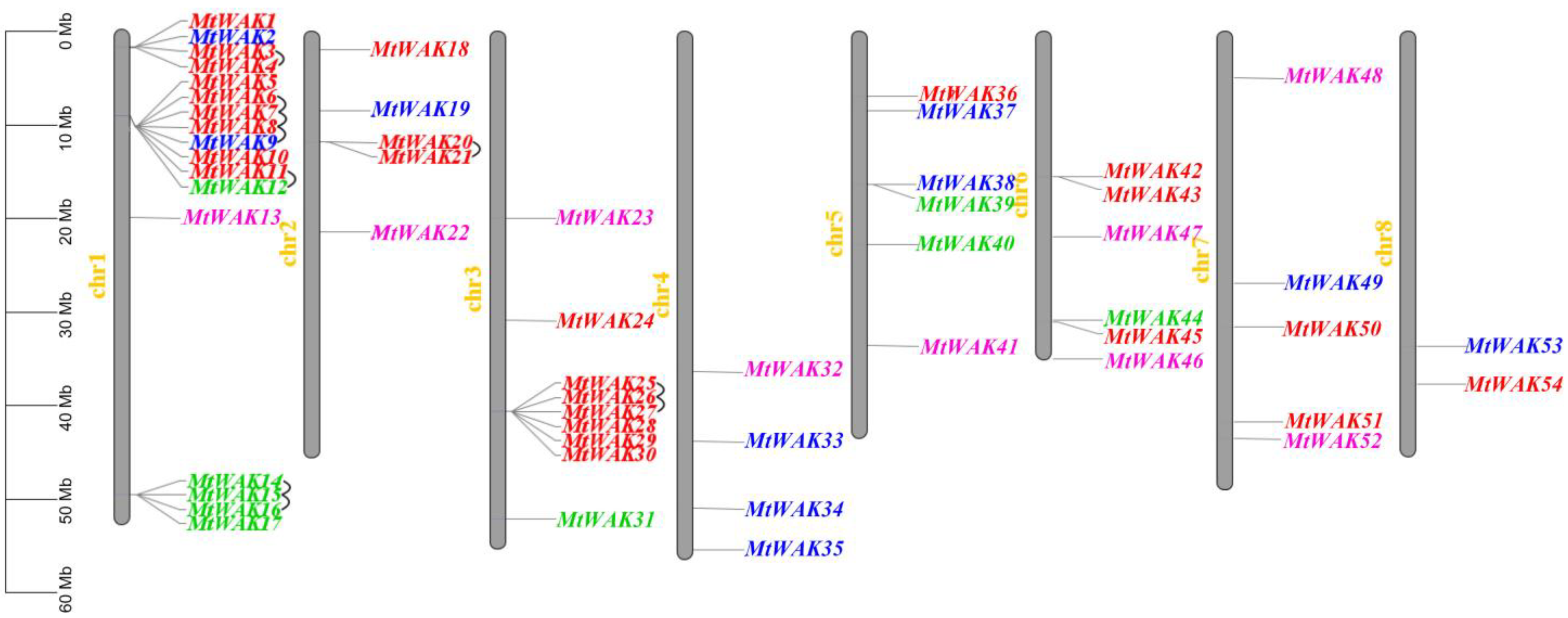 Plants 12 01849 g001
