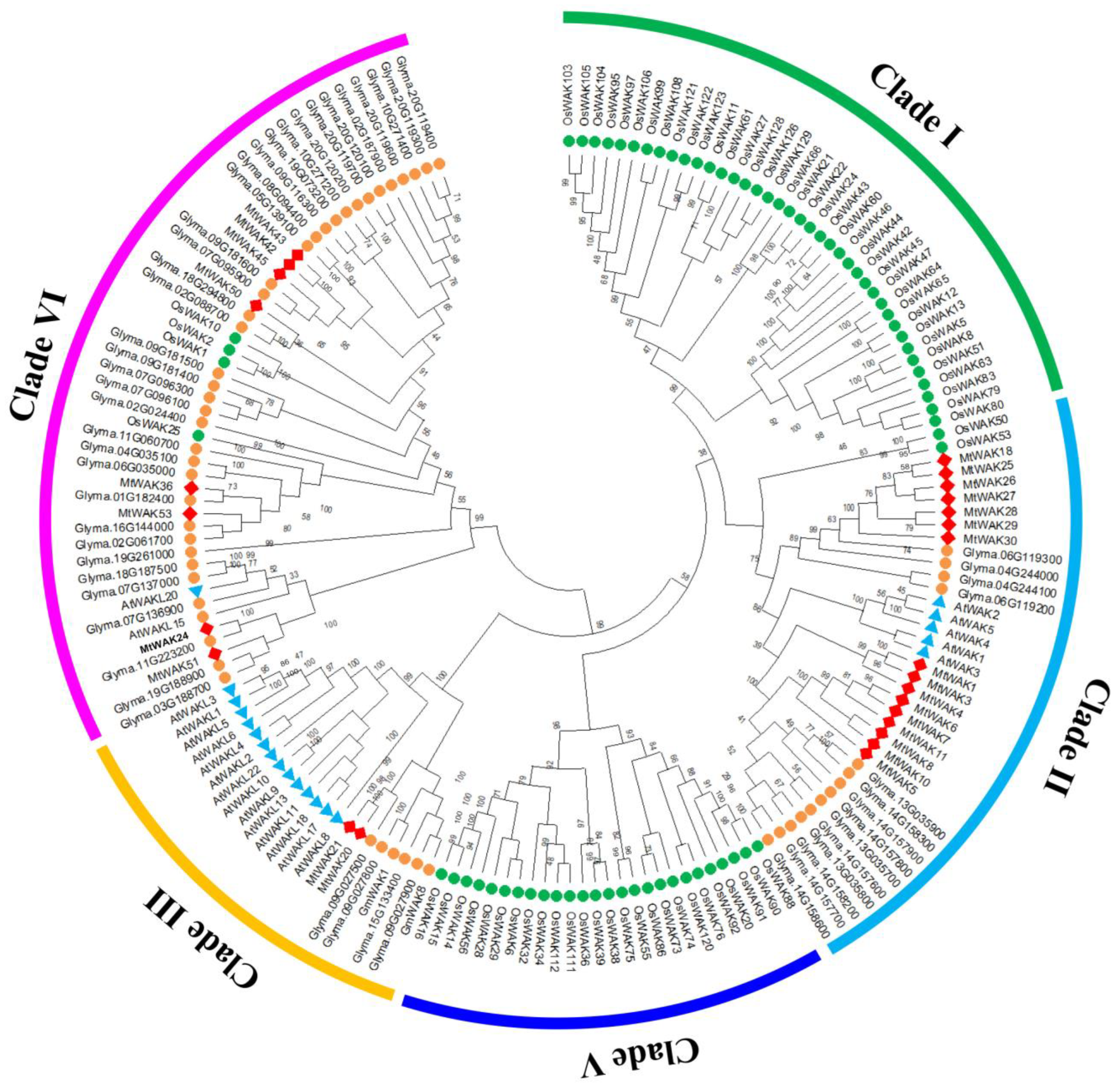 Plants 12 01849 g003