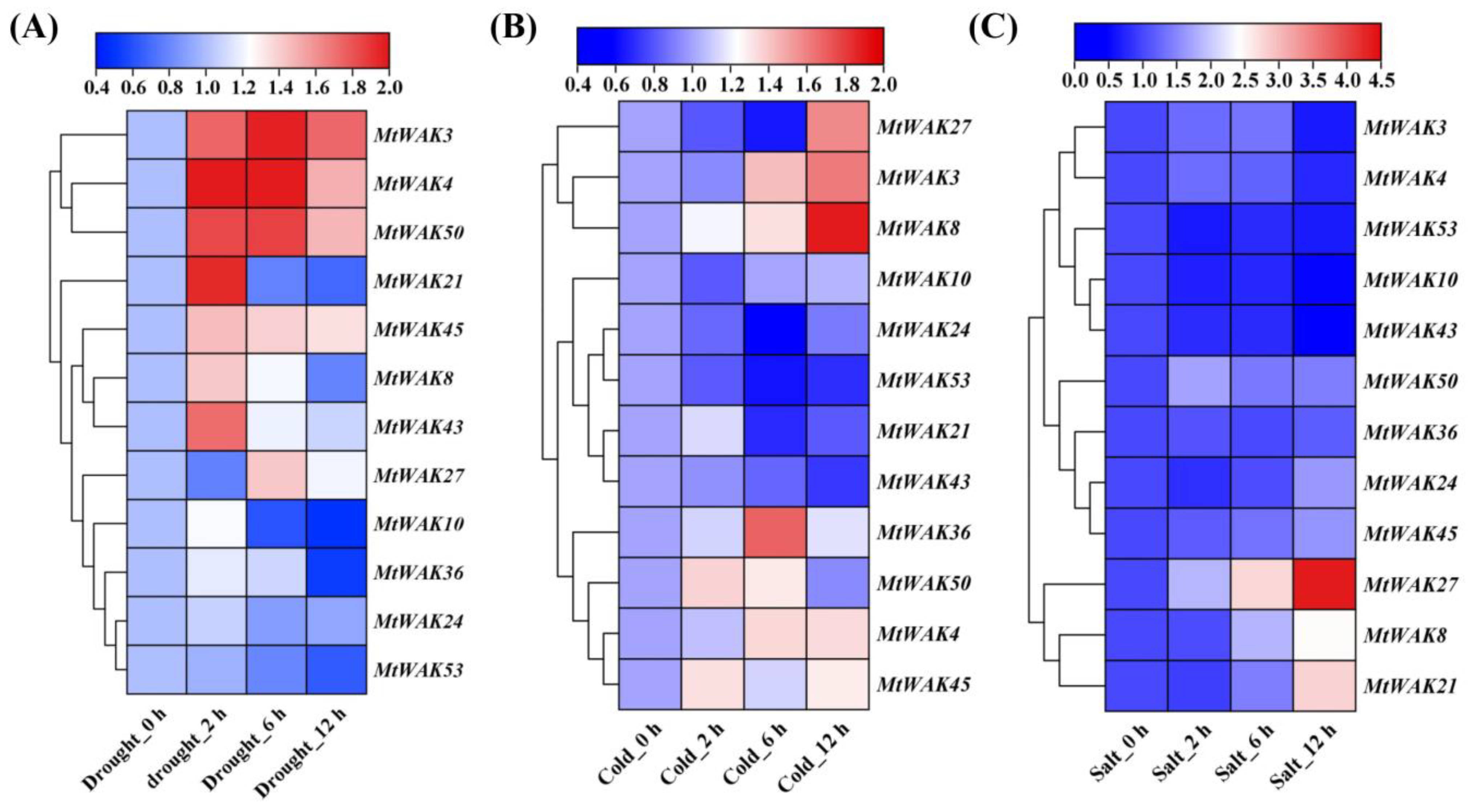 Plants 12 01849 g008