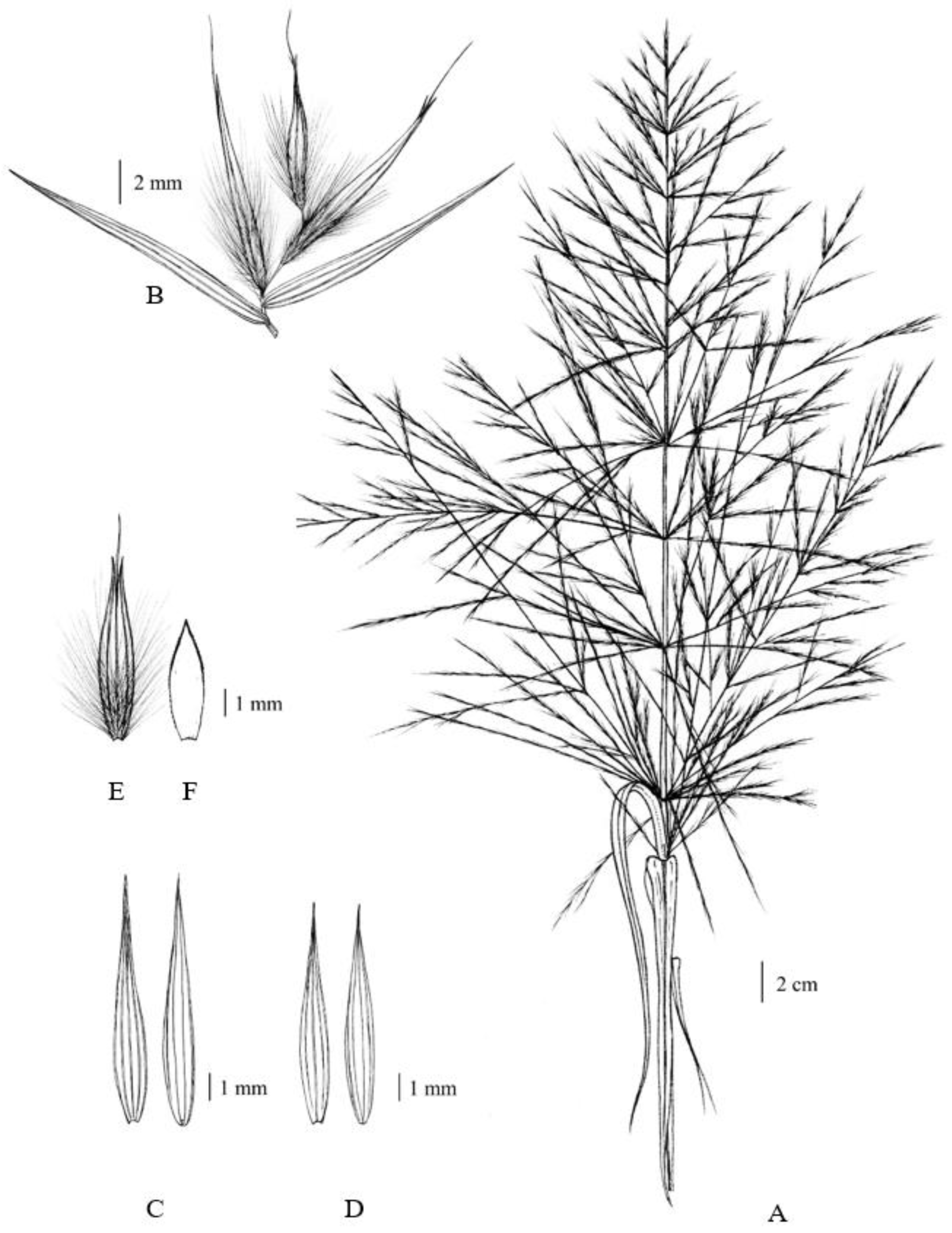 Plants 12 01850 g002 550