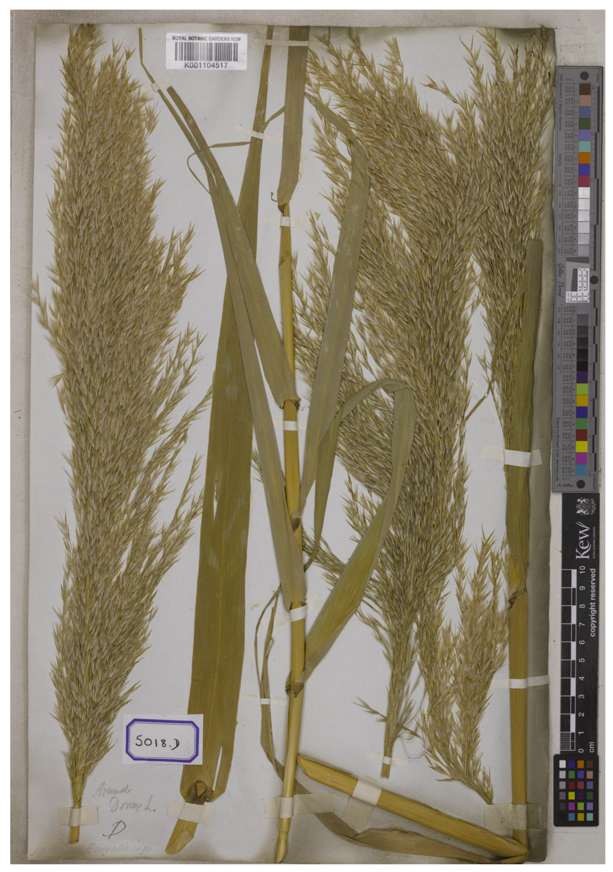 Plants 12 01850 g007 550