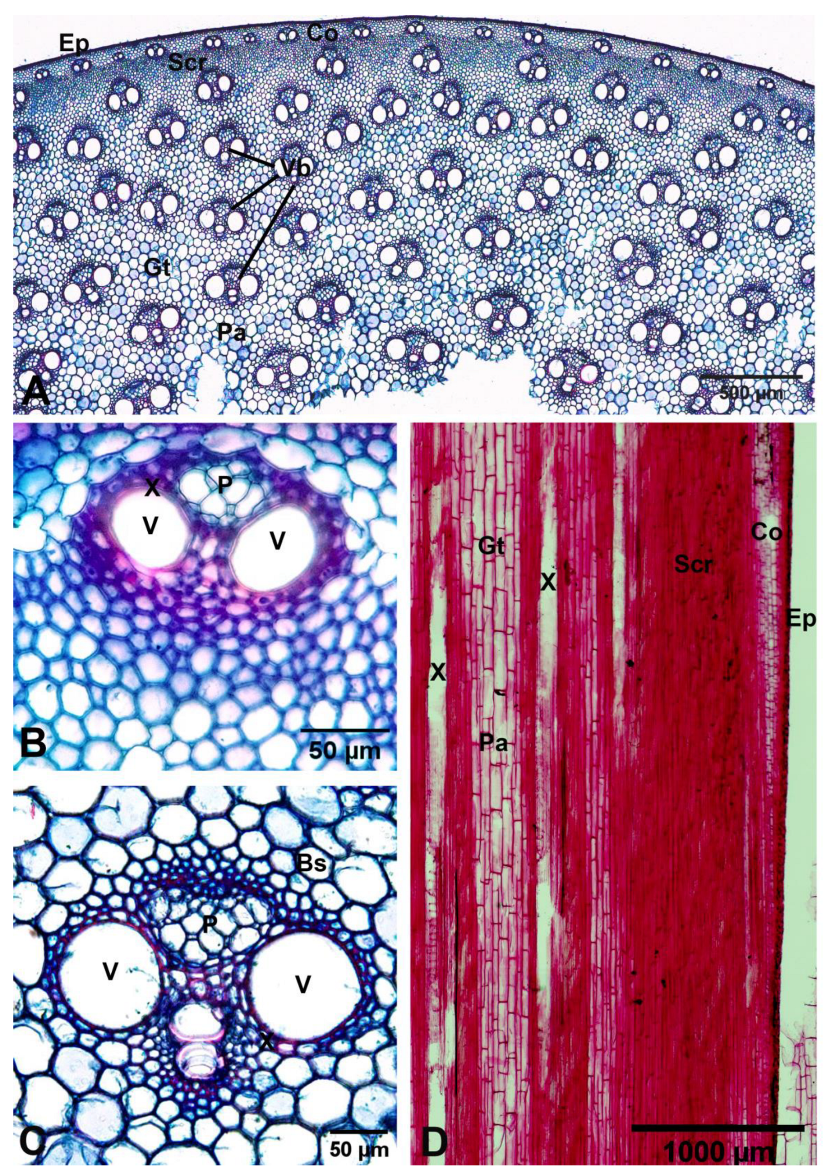 Plants 12 01850 g011 550