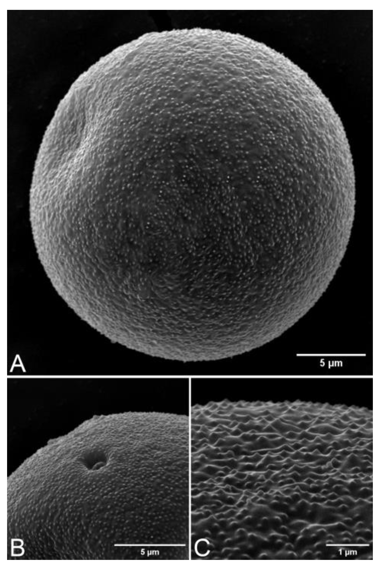 Plants 12 01850 g015 550