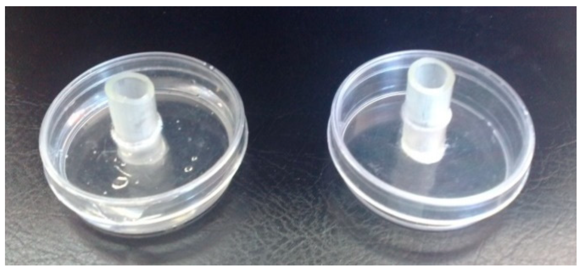 Plants 12 01851 g006 Plants 12 01851 g006