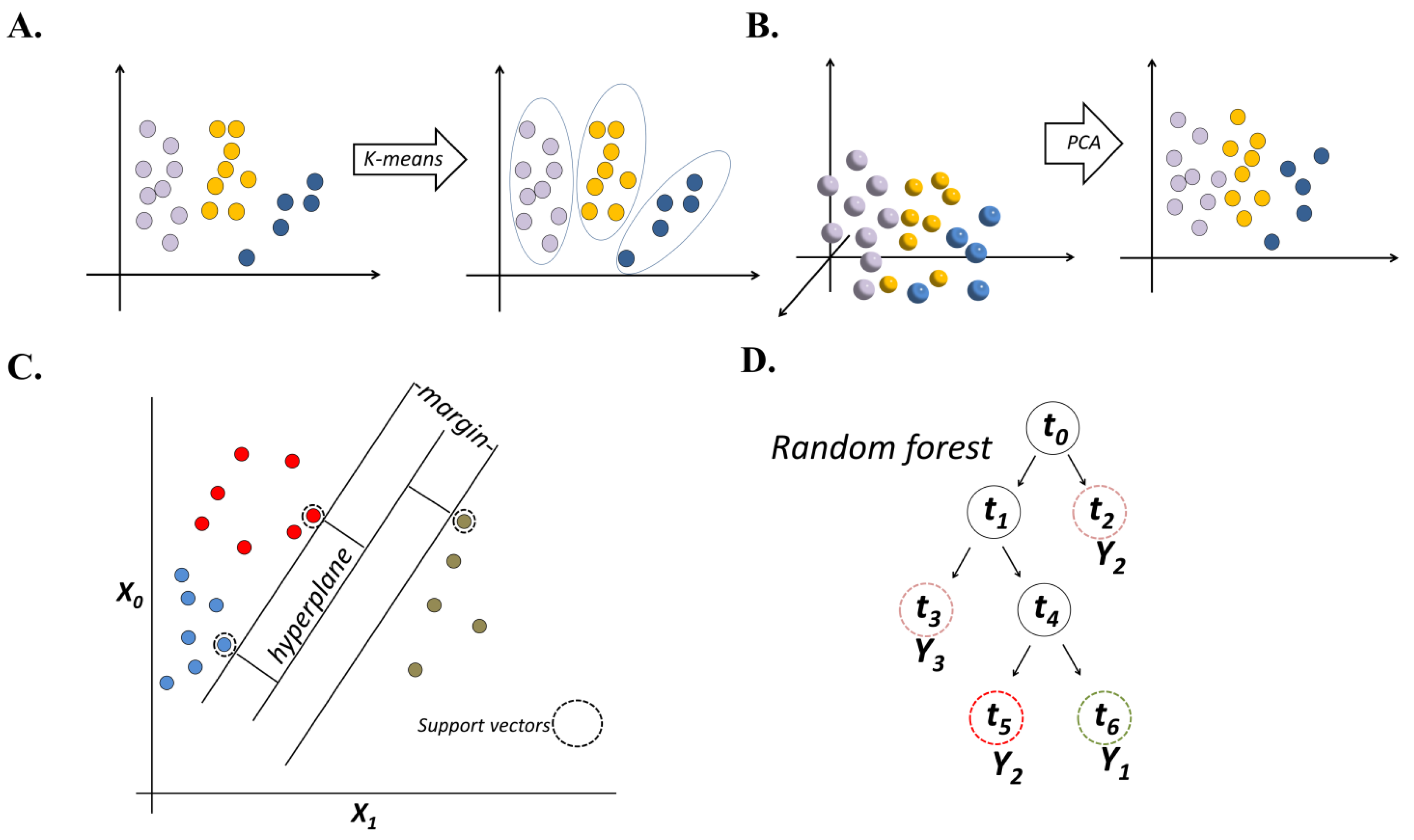 Plants 12 01852 g001