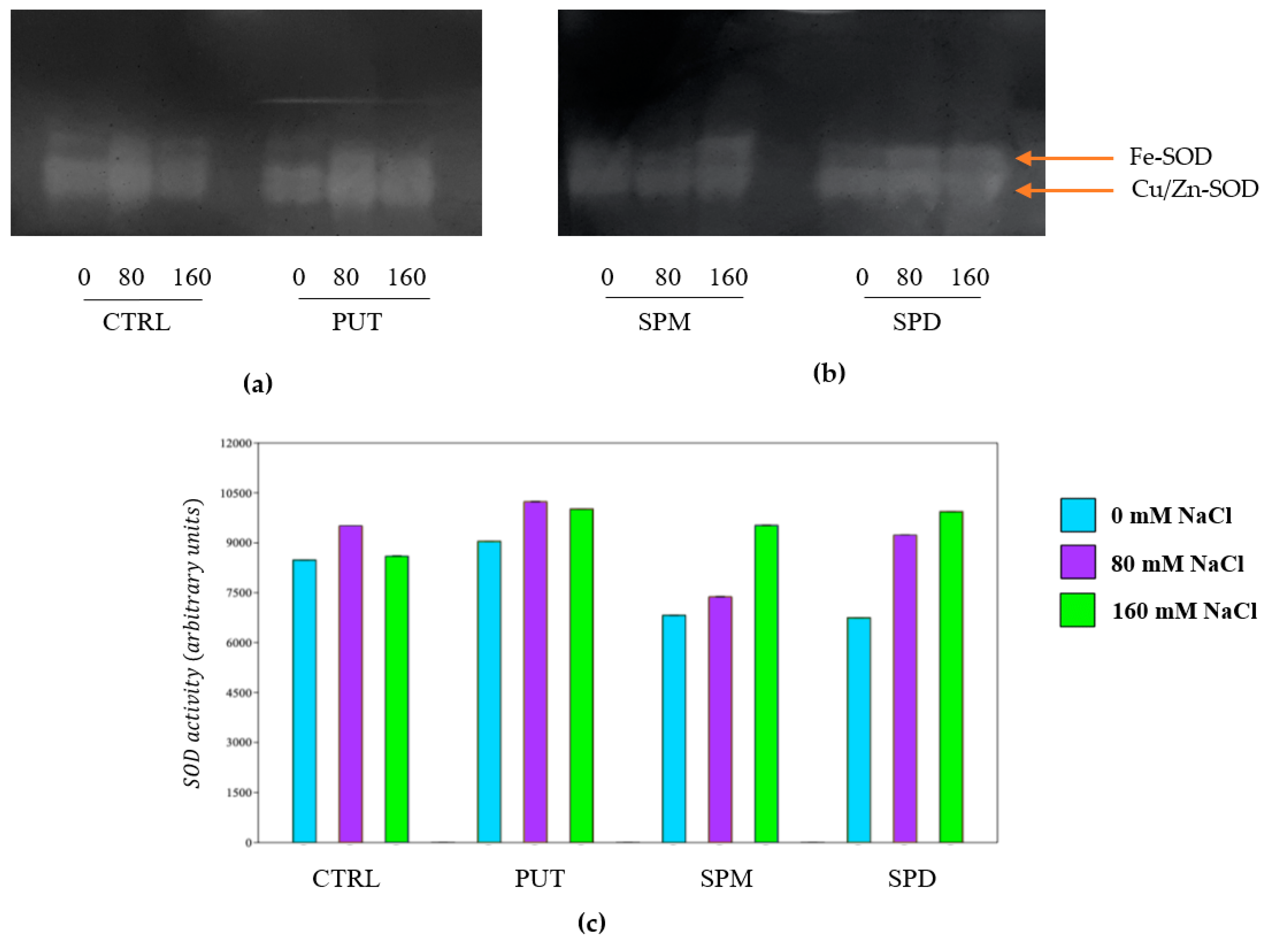 Plants 12 01855 g009 Plants 12 01855 g009