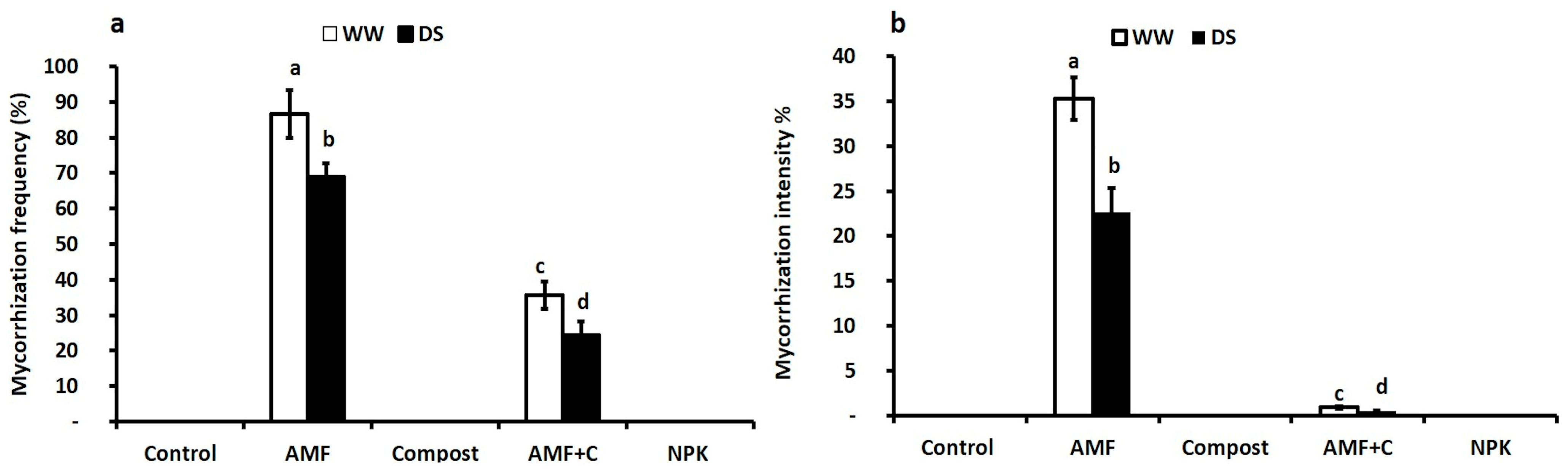 Plants 12 01856 g001