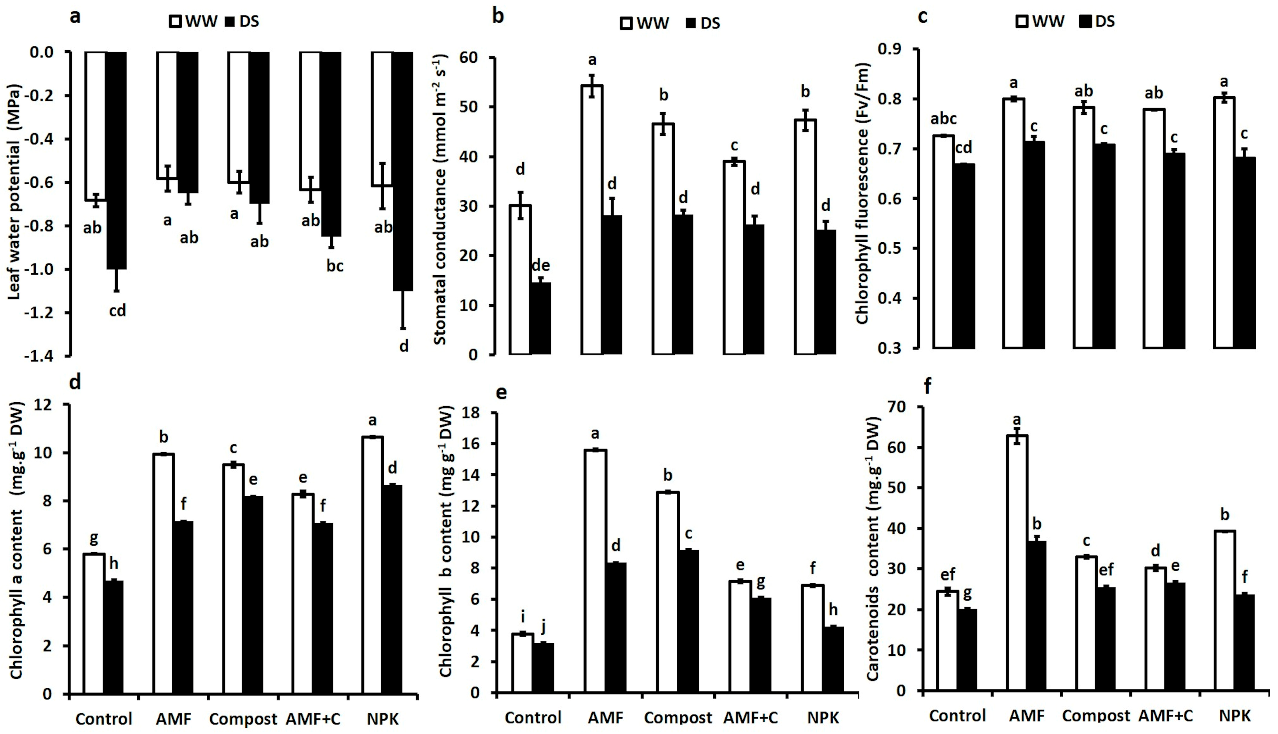 Plants 12 01856 g002