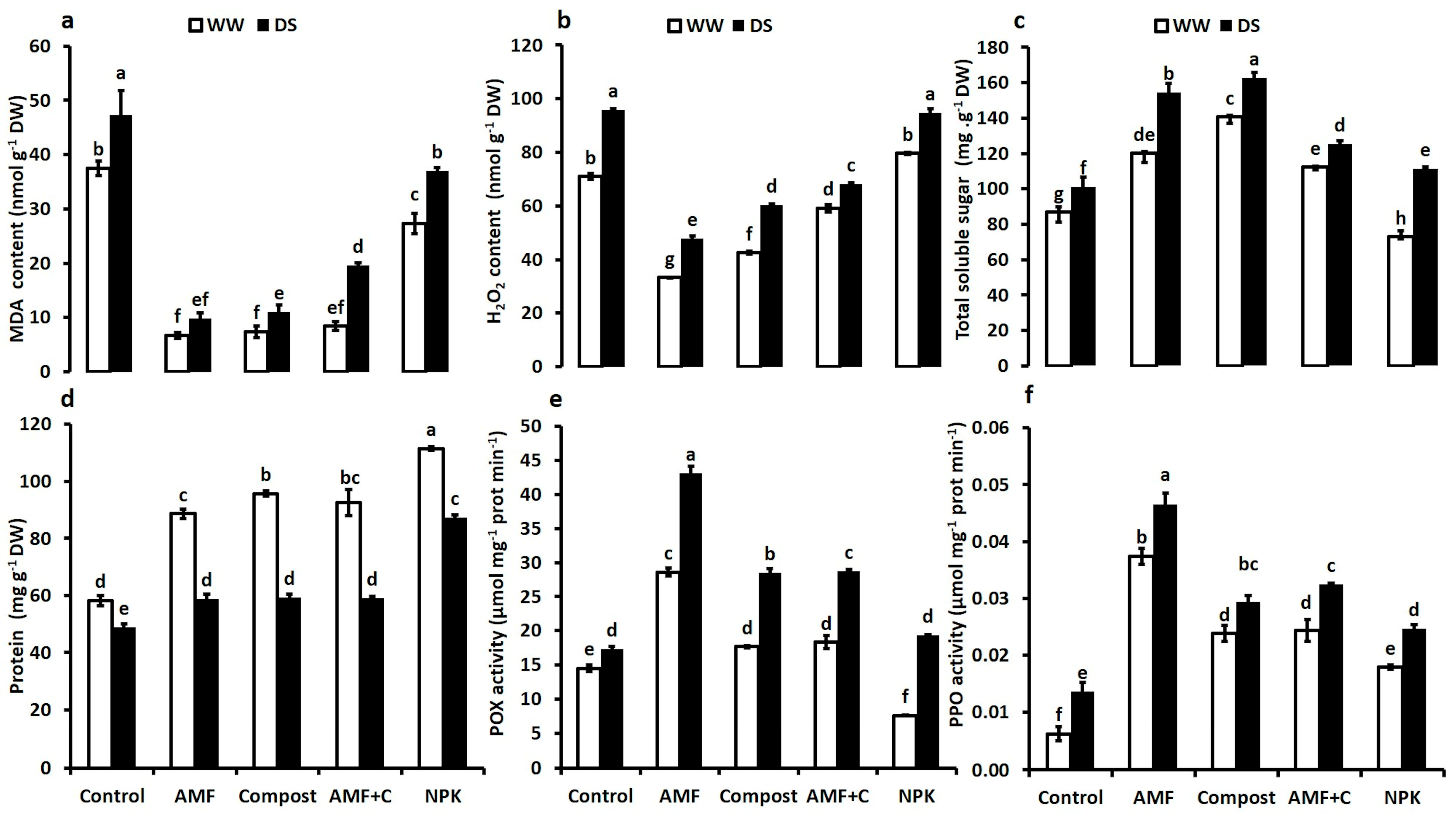 Plants 12 01856 g003
