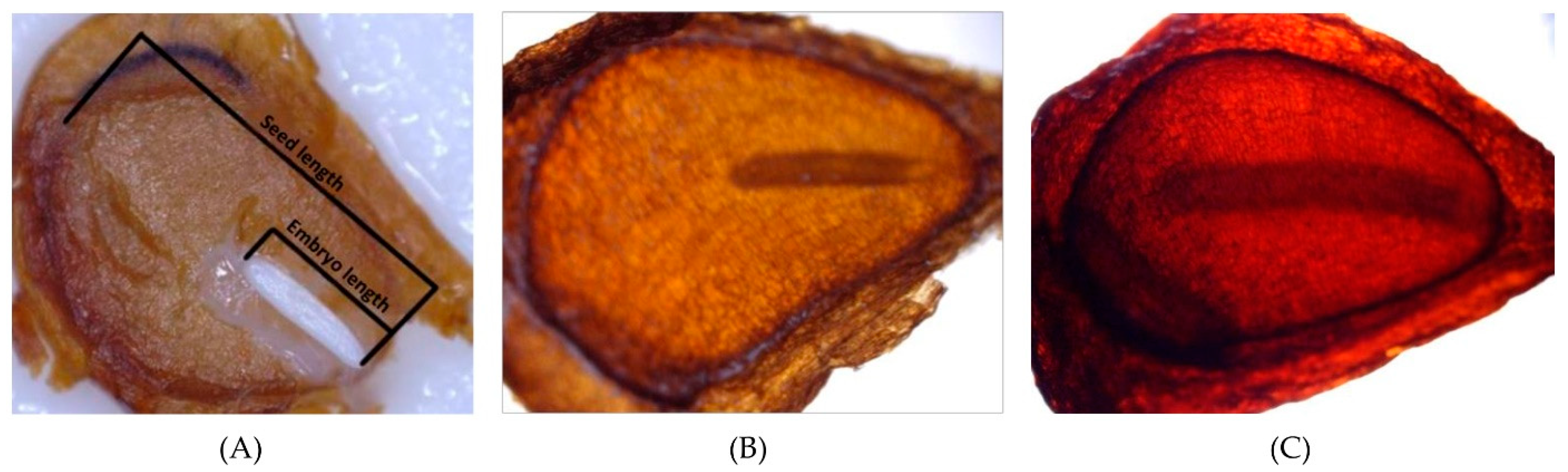 Plants 12 01859 g003 Plants 12 01859 g003