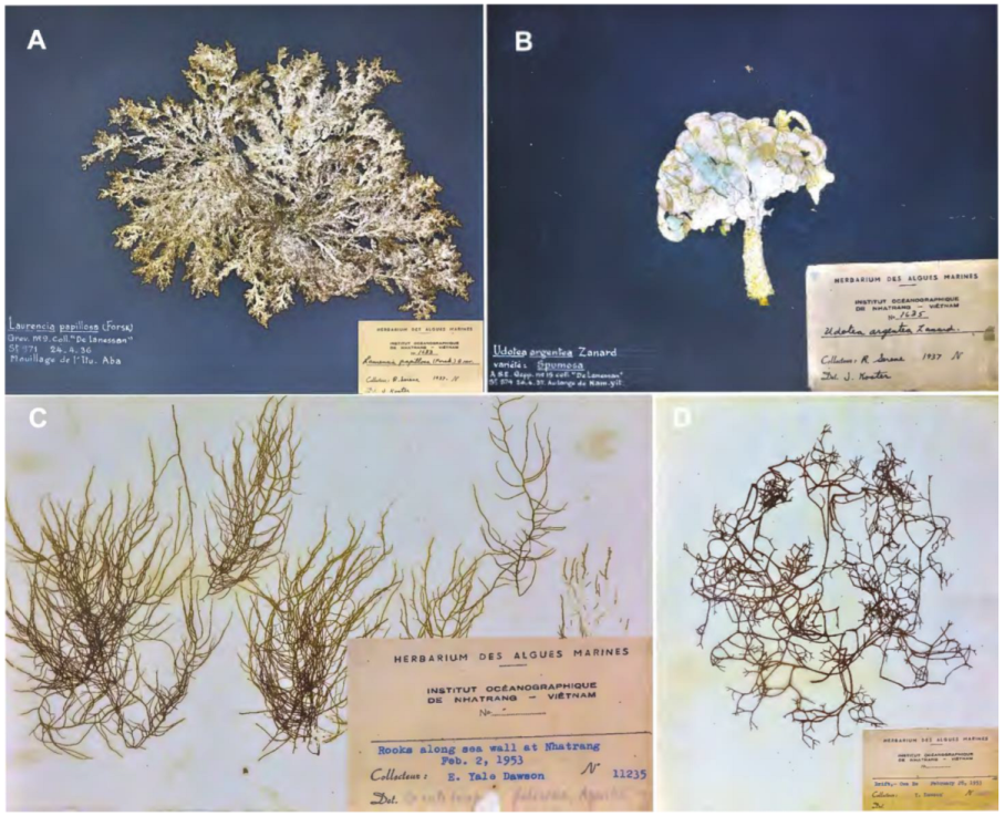 Plants 12 01862 g001 Plants 12 01862 g001