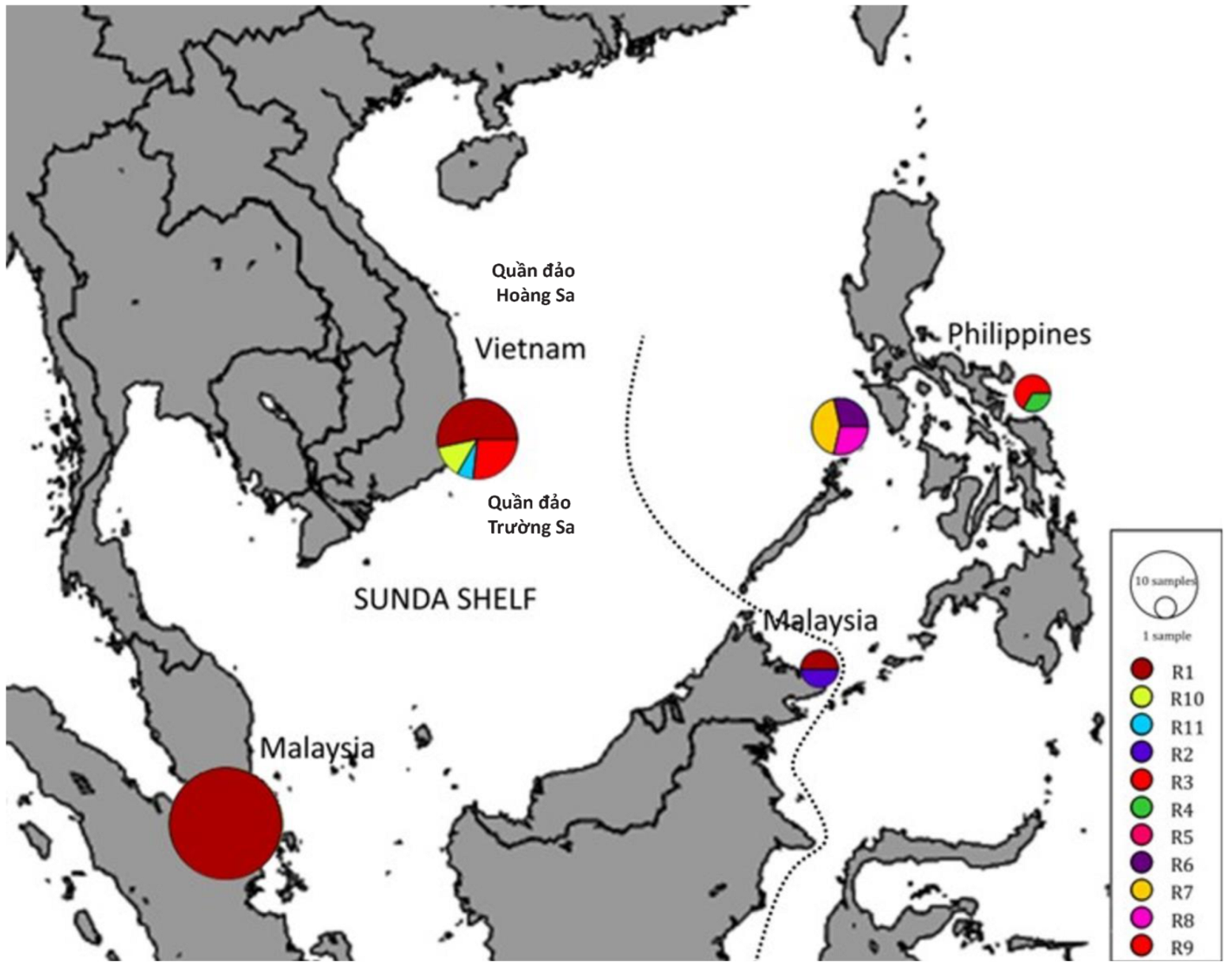 Plants 12 01862 g003 Plants 12 01862 g003