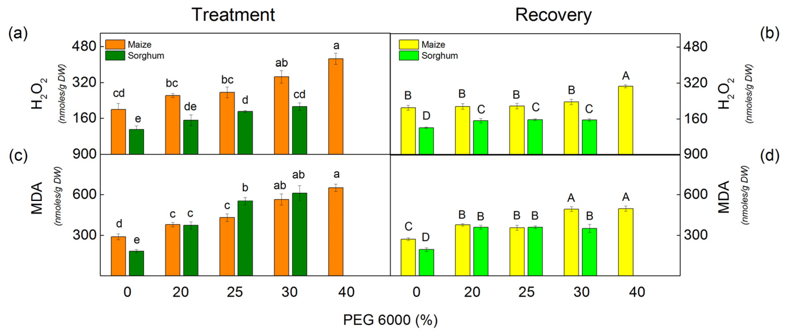 Plants 12 01863 g002