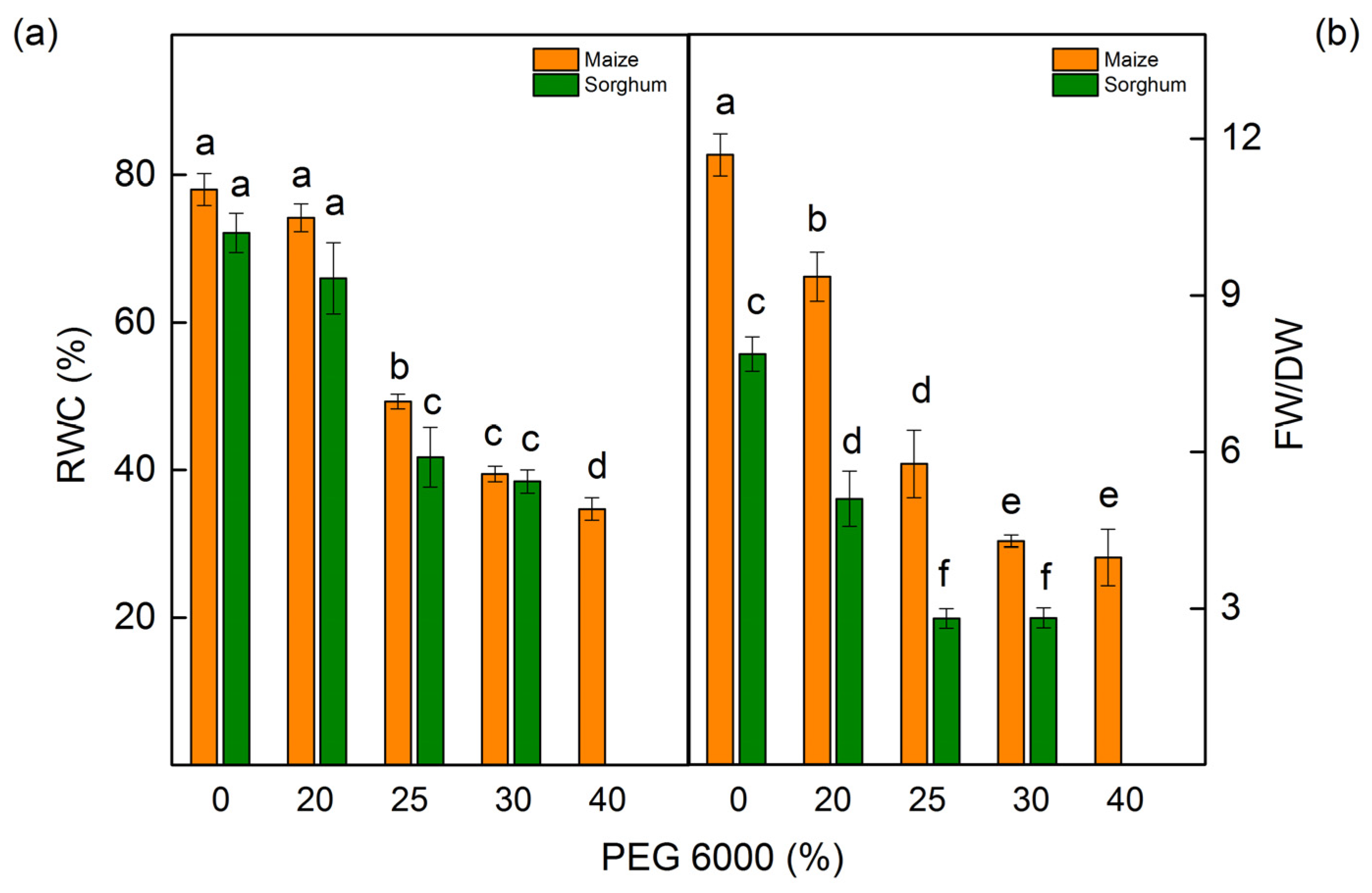 Plants 12 01863 g003
