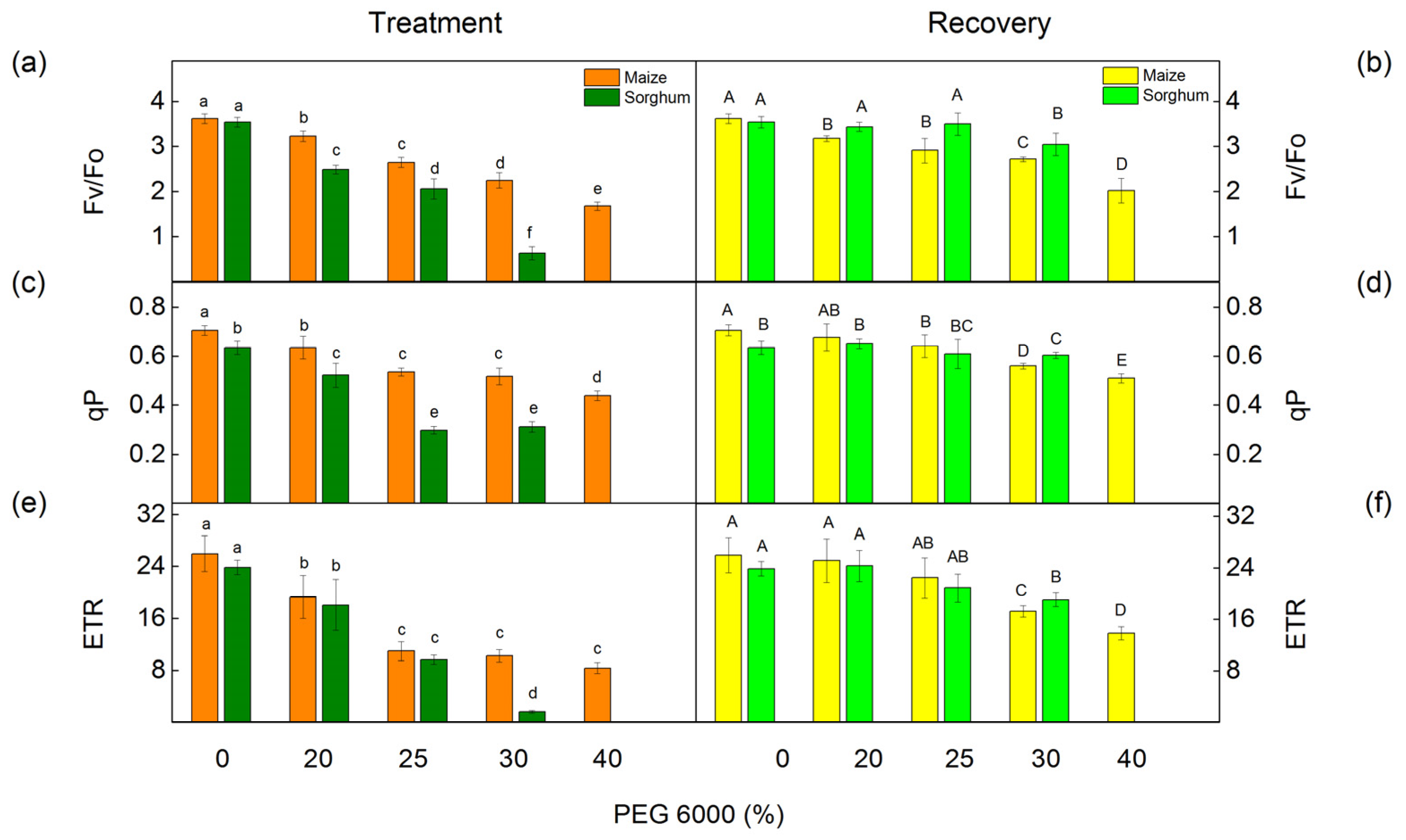 Plants 12 01863 g004