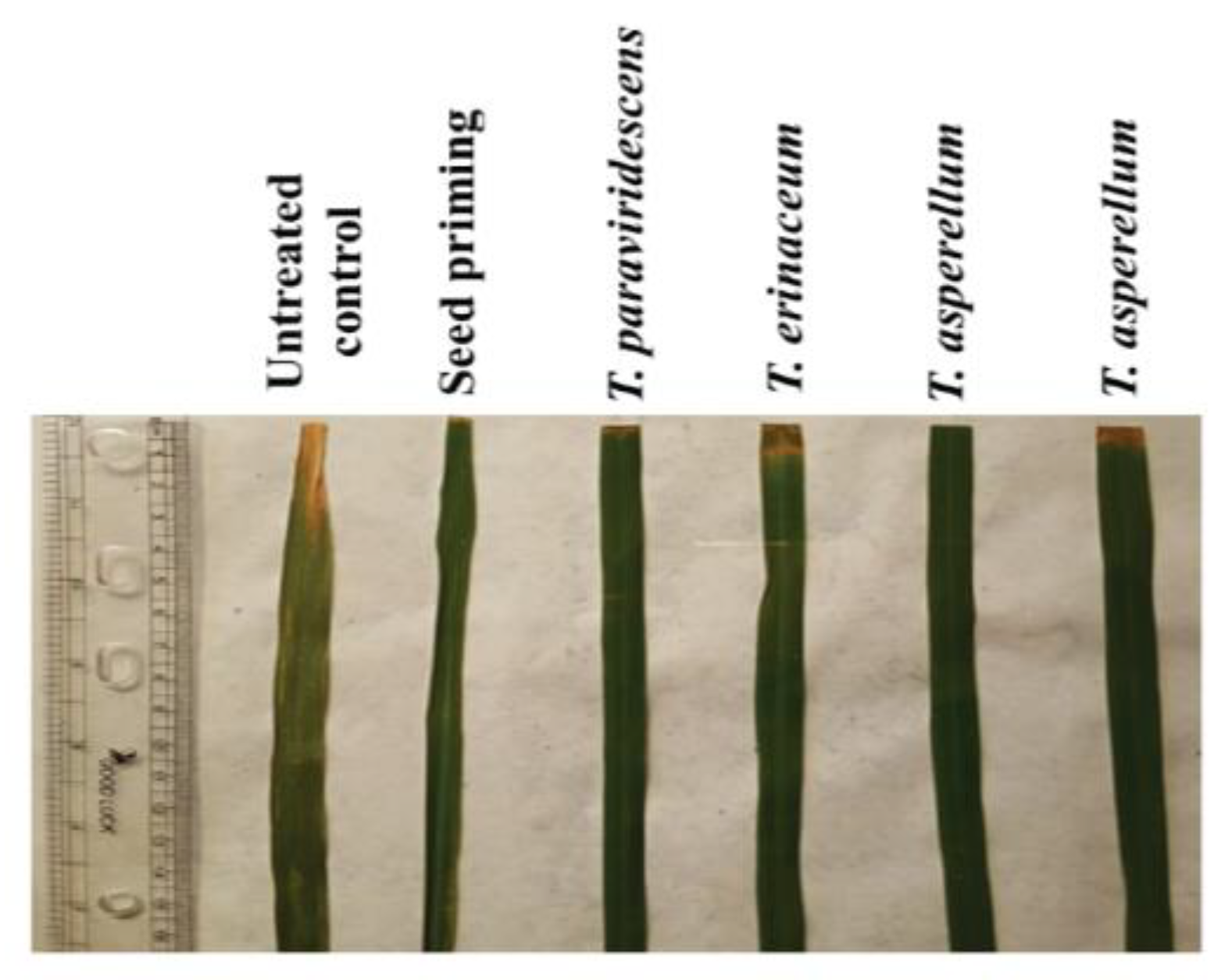 Plants 12 01864 g003