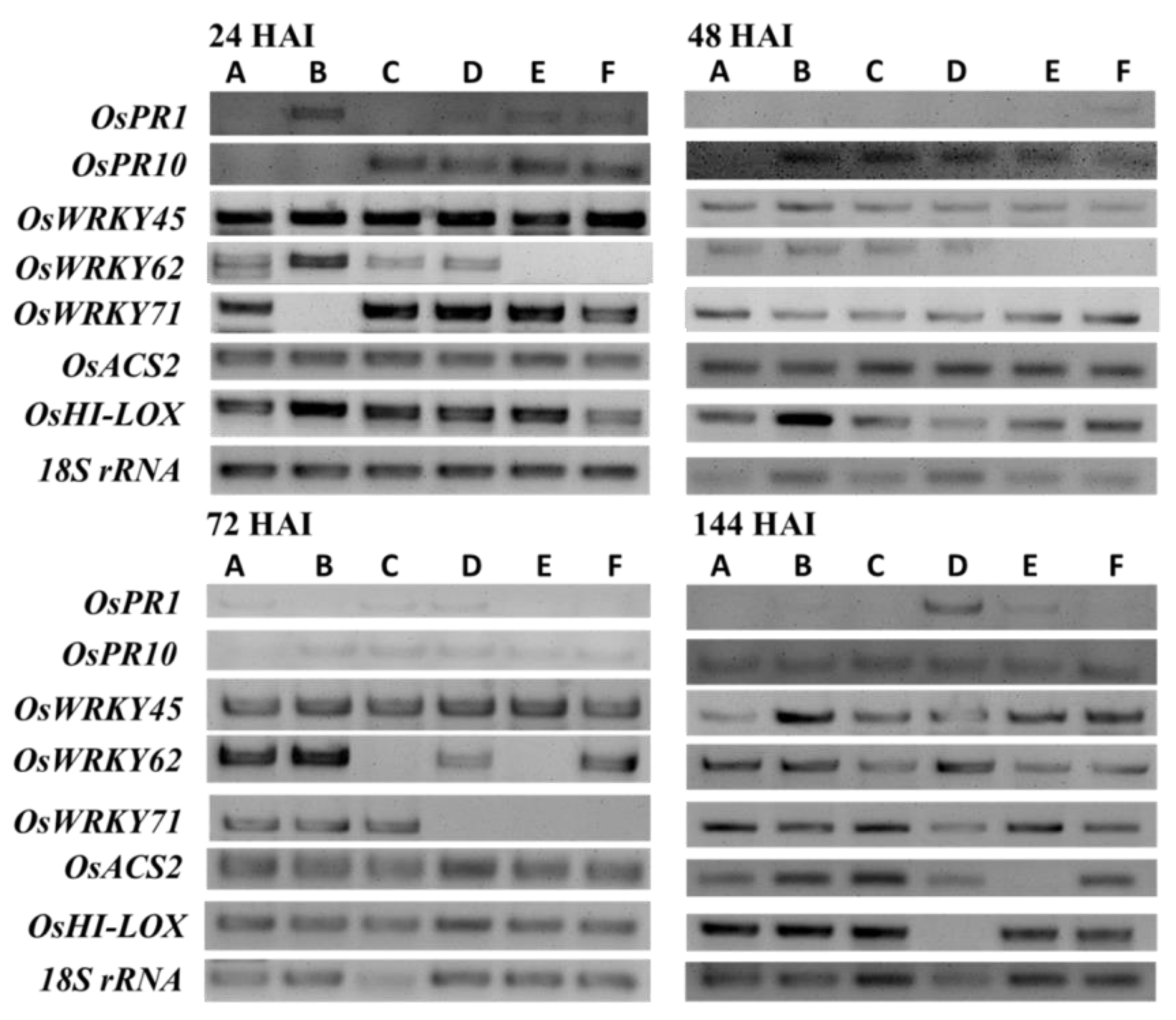 Plants 12 01864 g004
