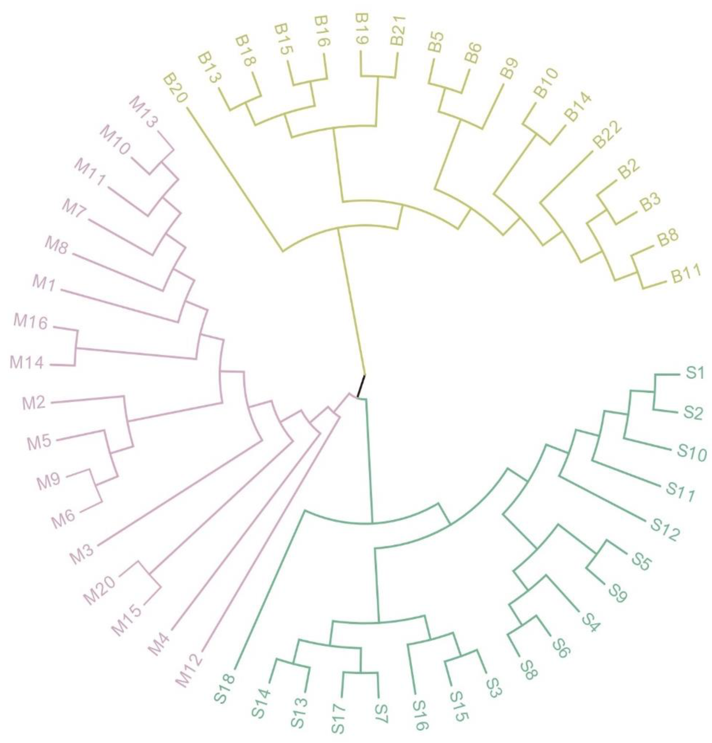 Plants 12 01865 g003 Plants 12 01865 g003