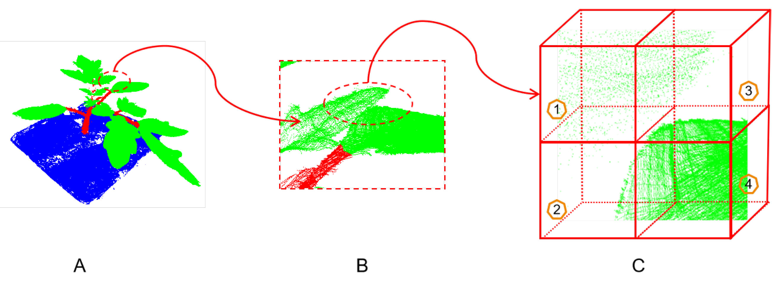 Plants 12 01867 g006