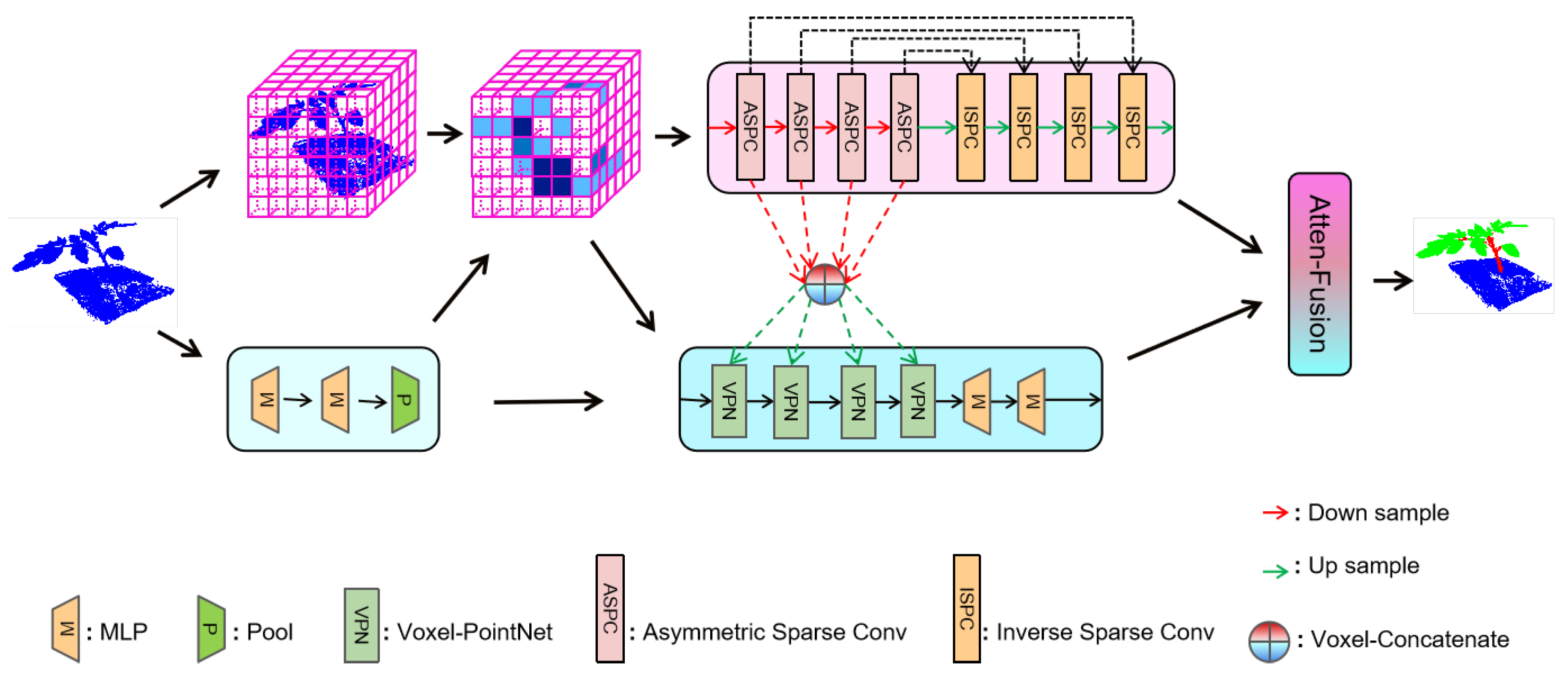 Plants 12 01867 g007