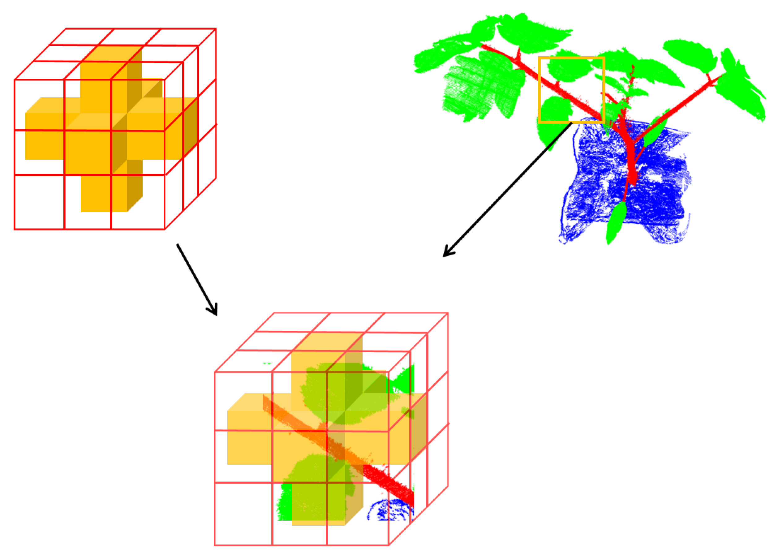 Plants 12 01867 g008
