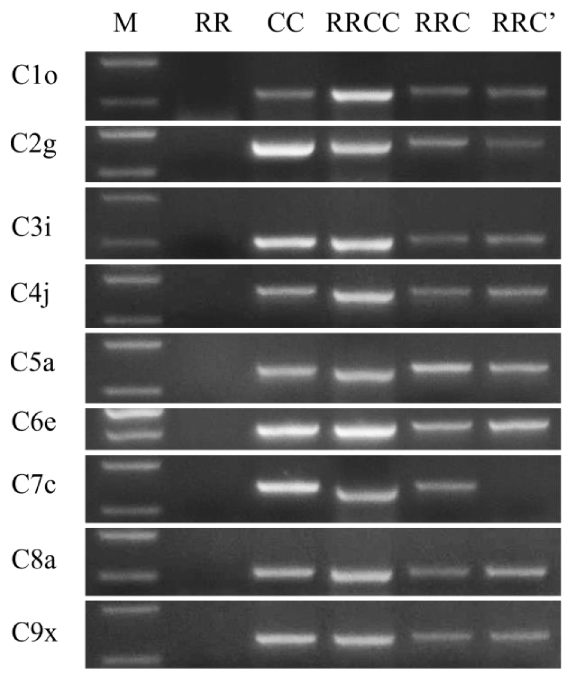 Plants 12 01875 g003 Plants 12 01875 g003