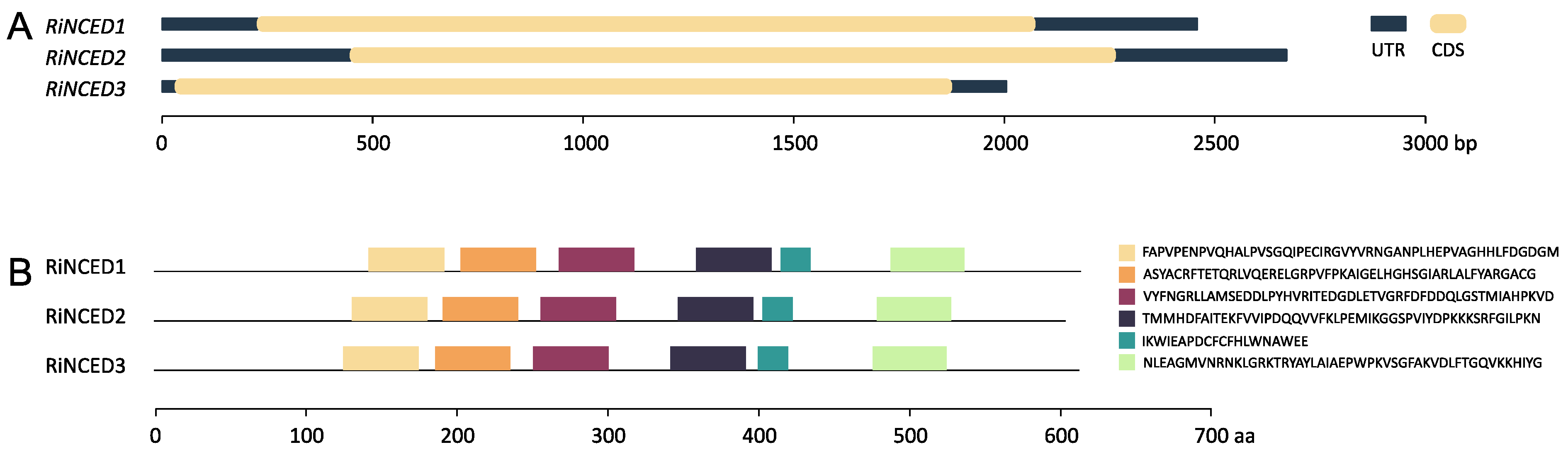 Plants 12 01882 g005 Plants 12 01882 g005
