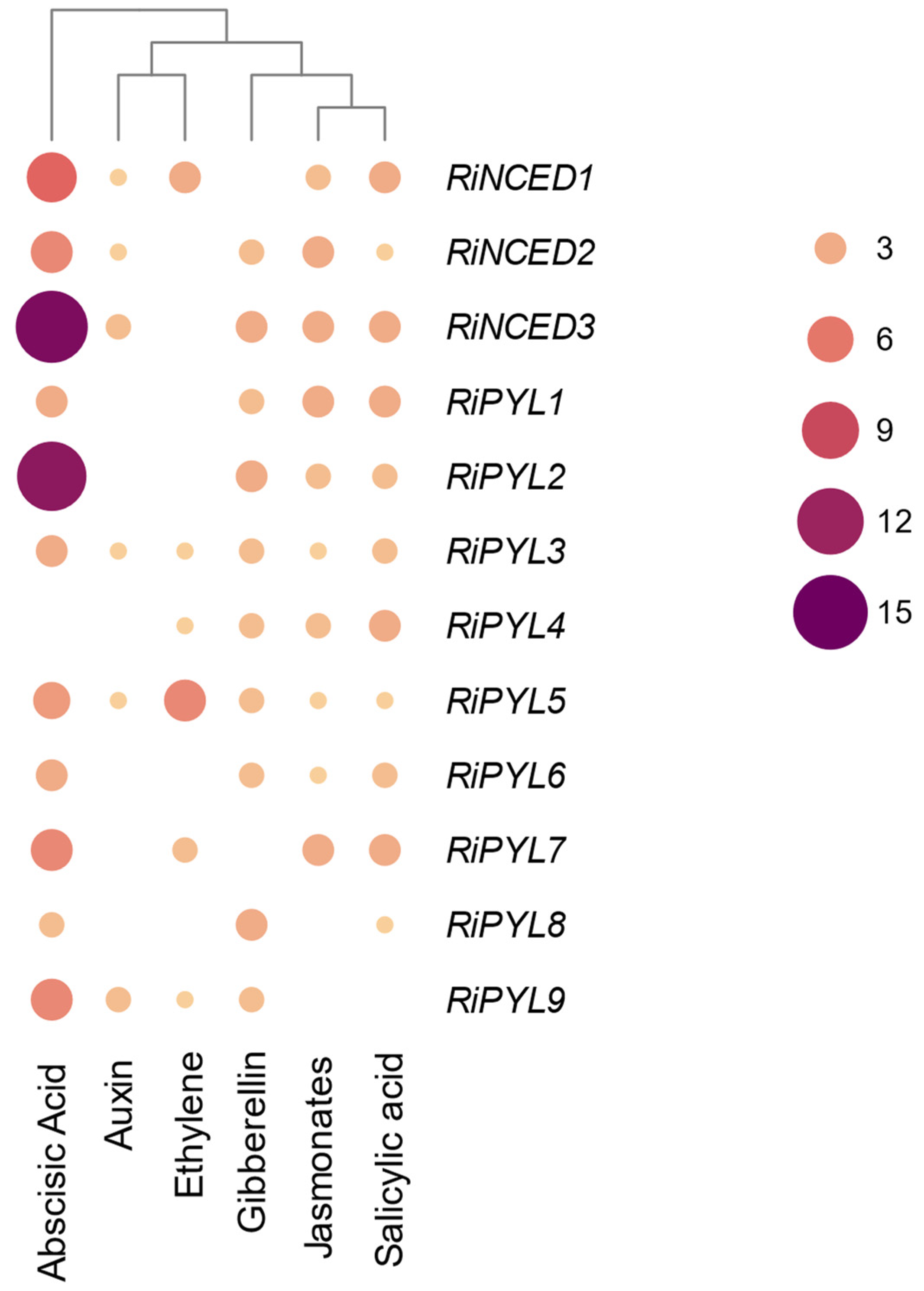 Plants 12 01882 g007 Plants 12 01882 g007