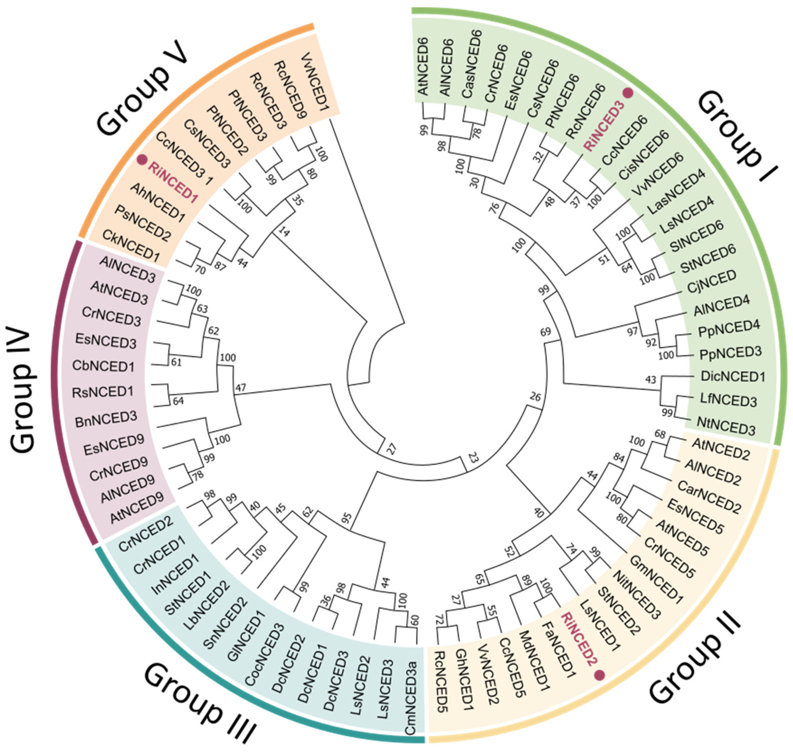 Plants 12 01882 g008 Plants 12 01882 g008