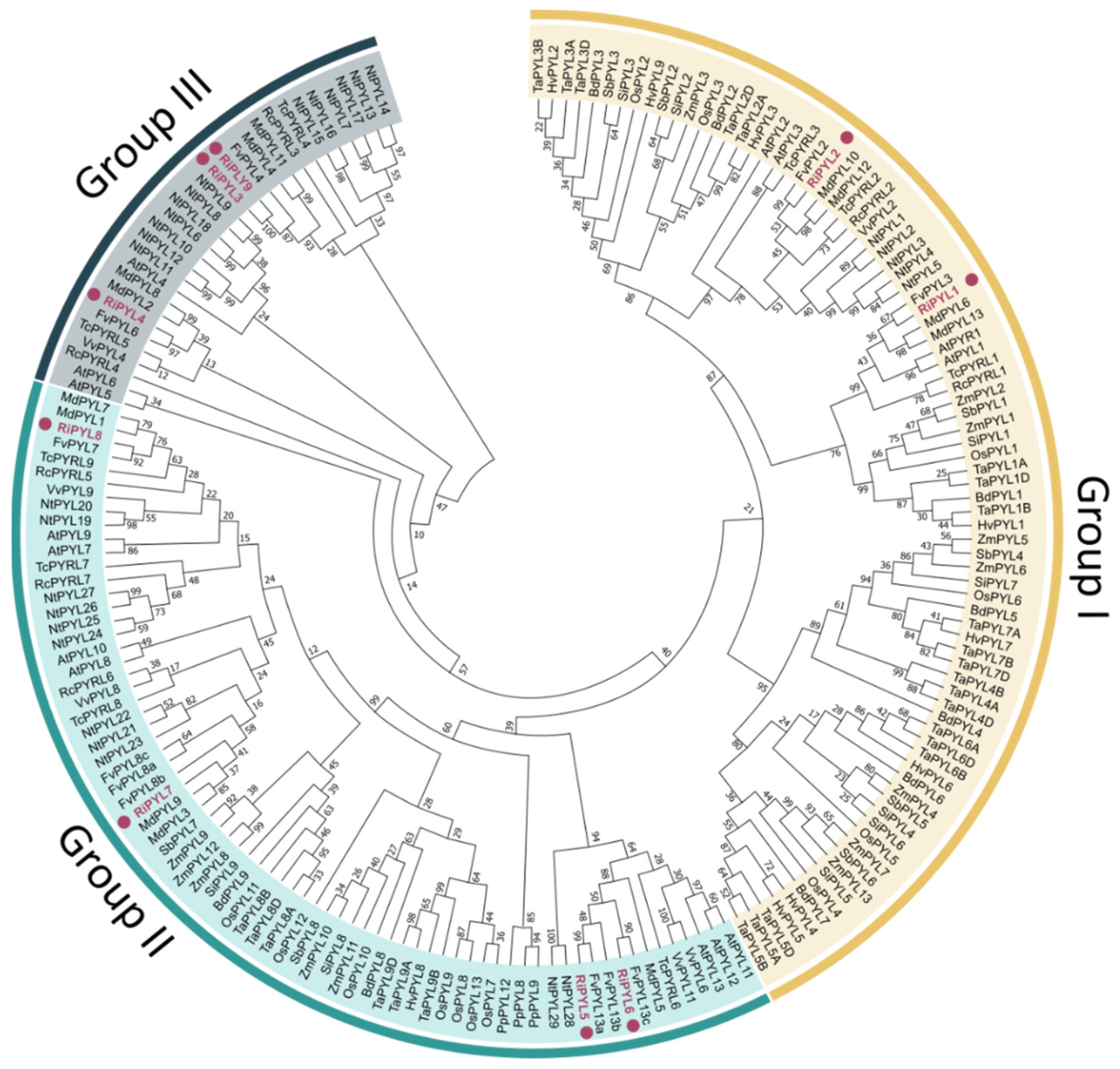 Plants 12 01882 g009 Plants 12 01882 g009