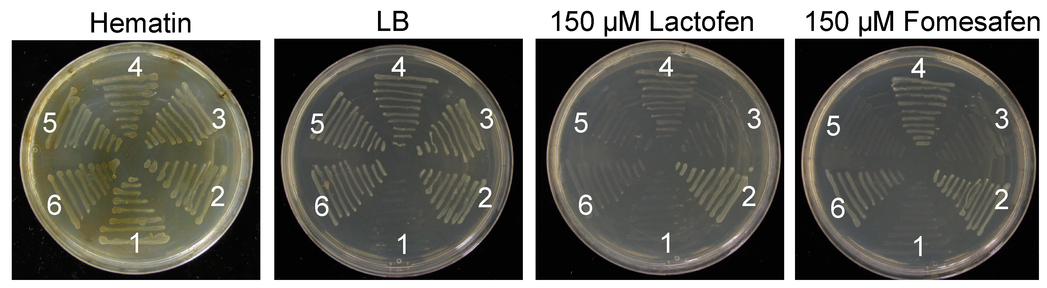 Plants 12 01886 g003 Plants 12 01886 g003