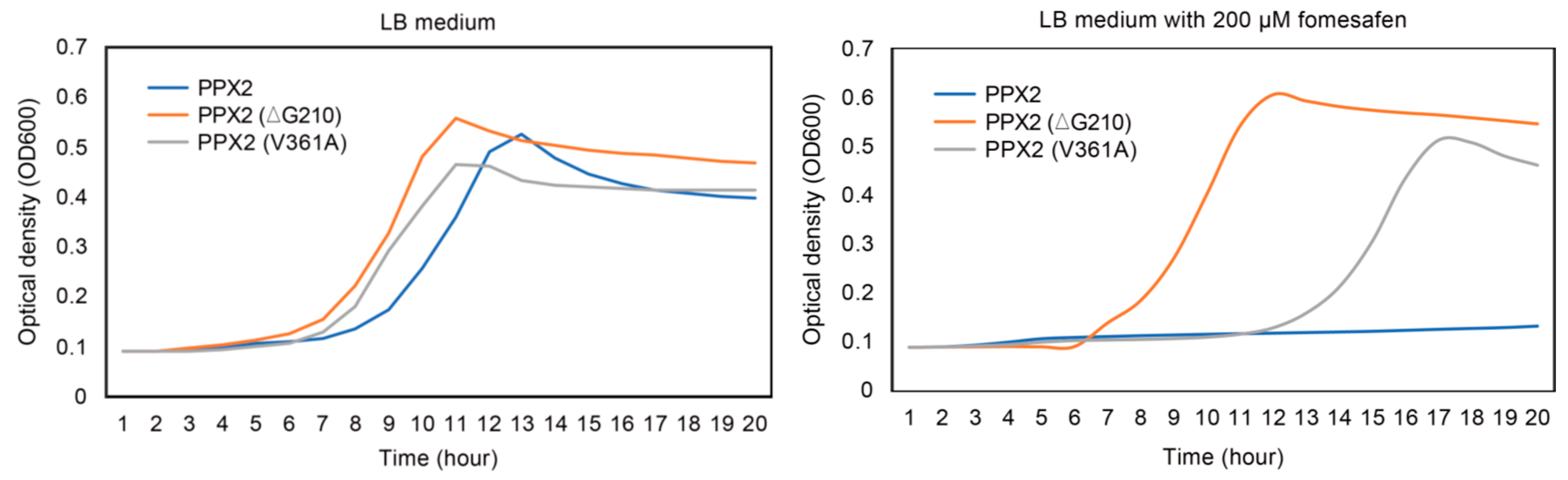 Plants 12 01886 g004 Plants 12 01886 g004