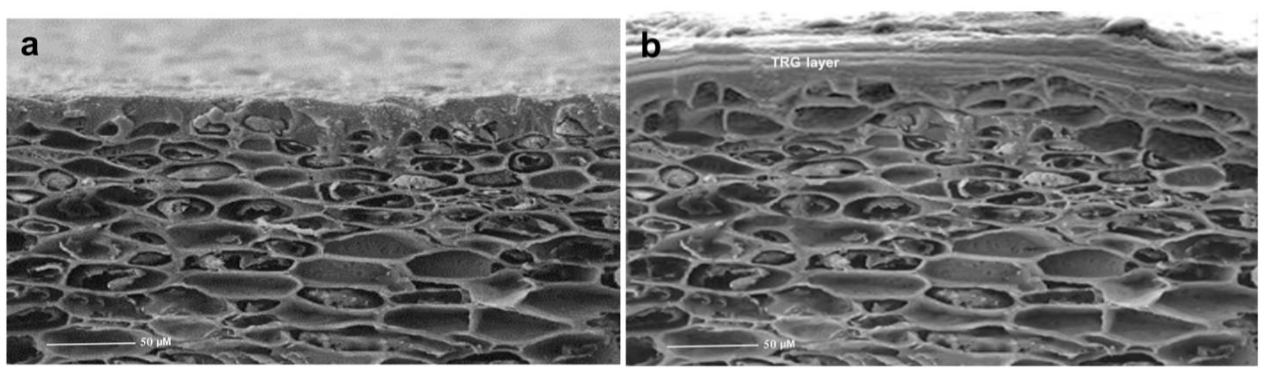 Plants 12 01887 g002
