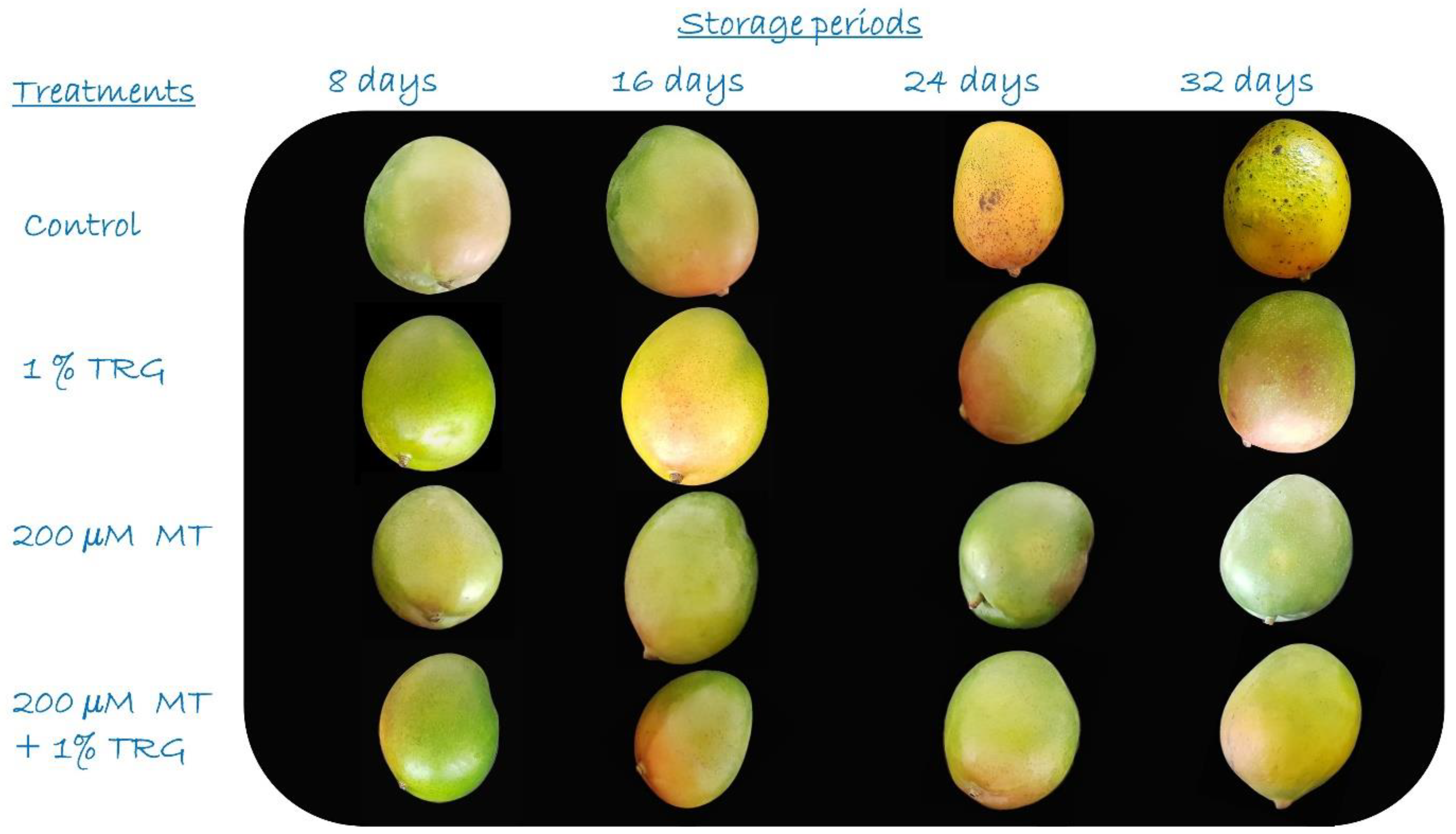 Plants 12 01887 g004