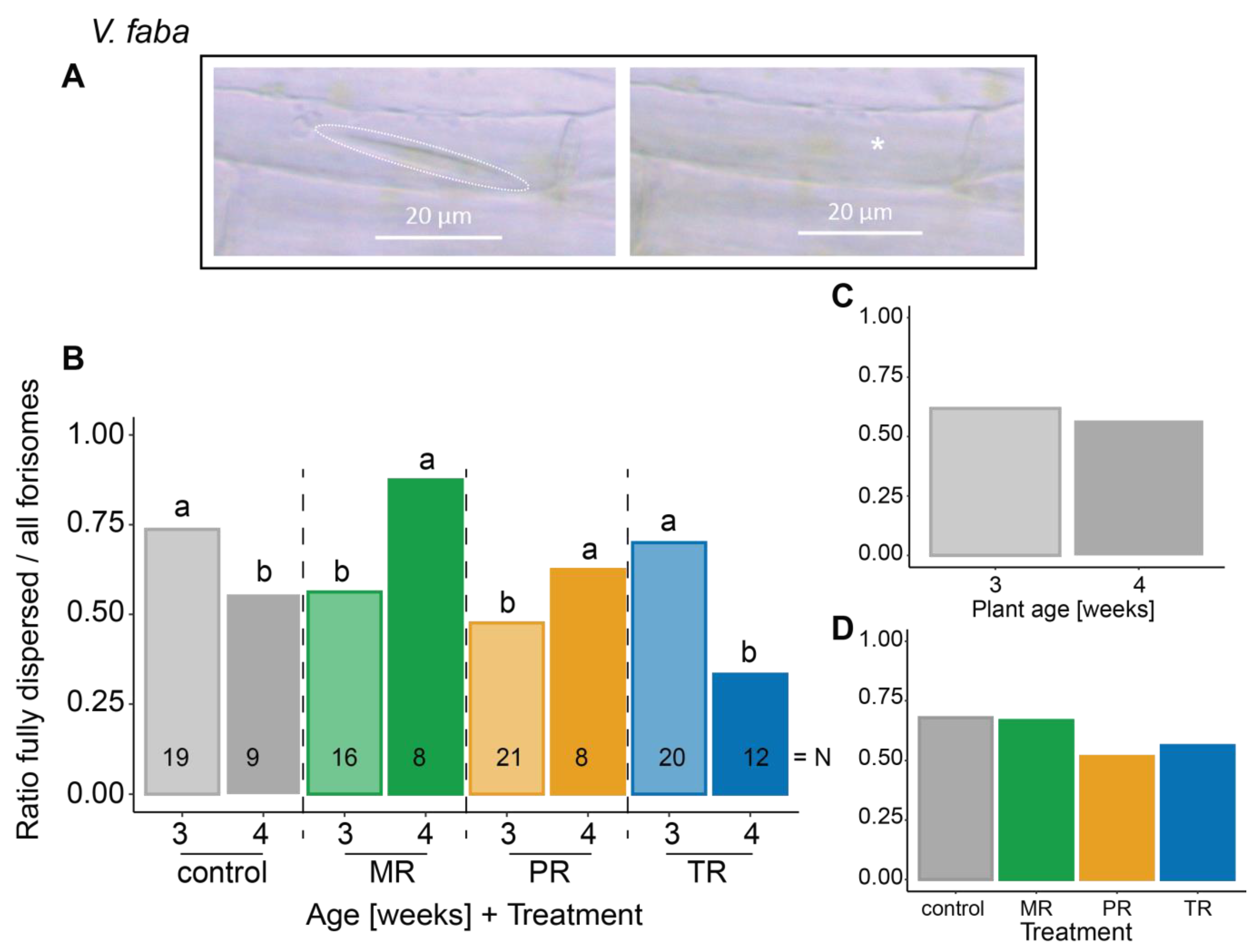 Plants 12 01888 g001 Plants 12 01888 g001