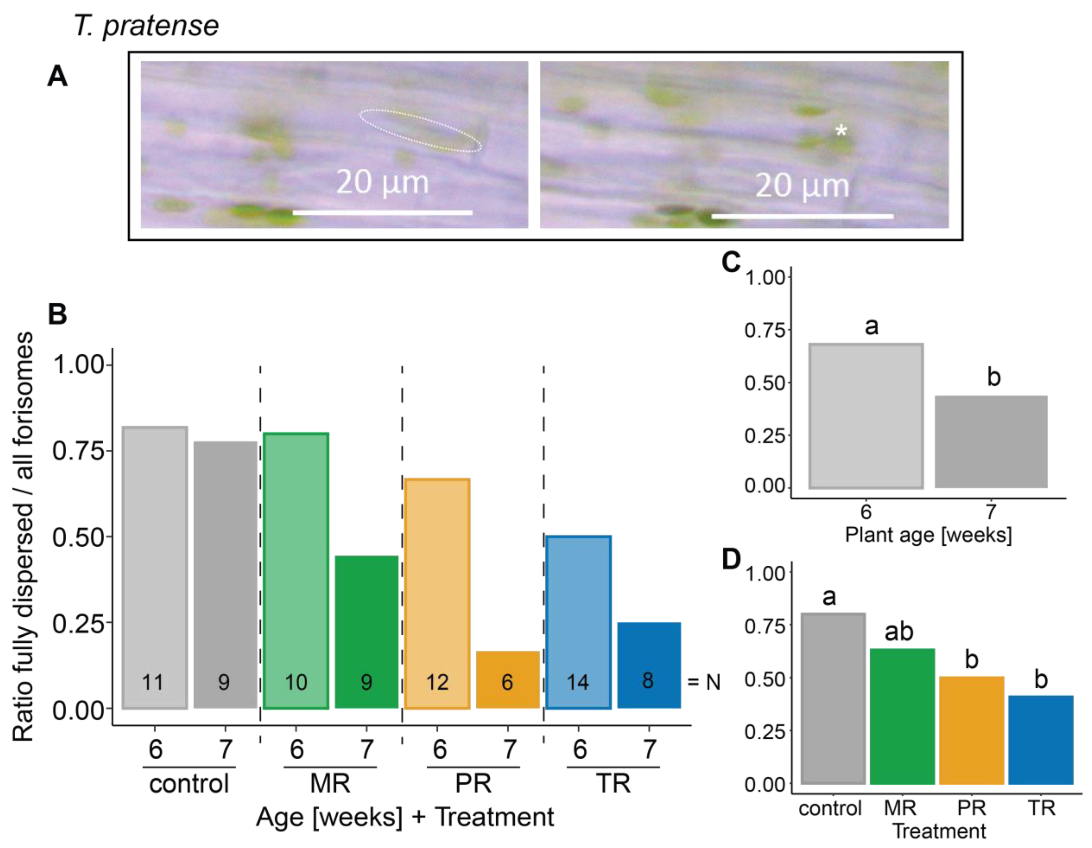 Plants 12 01888 g002 Plants 12 01888 g002