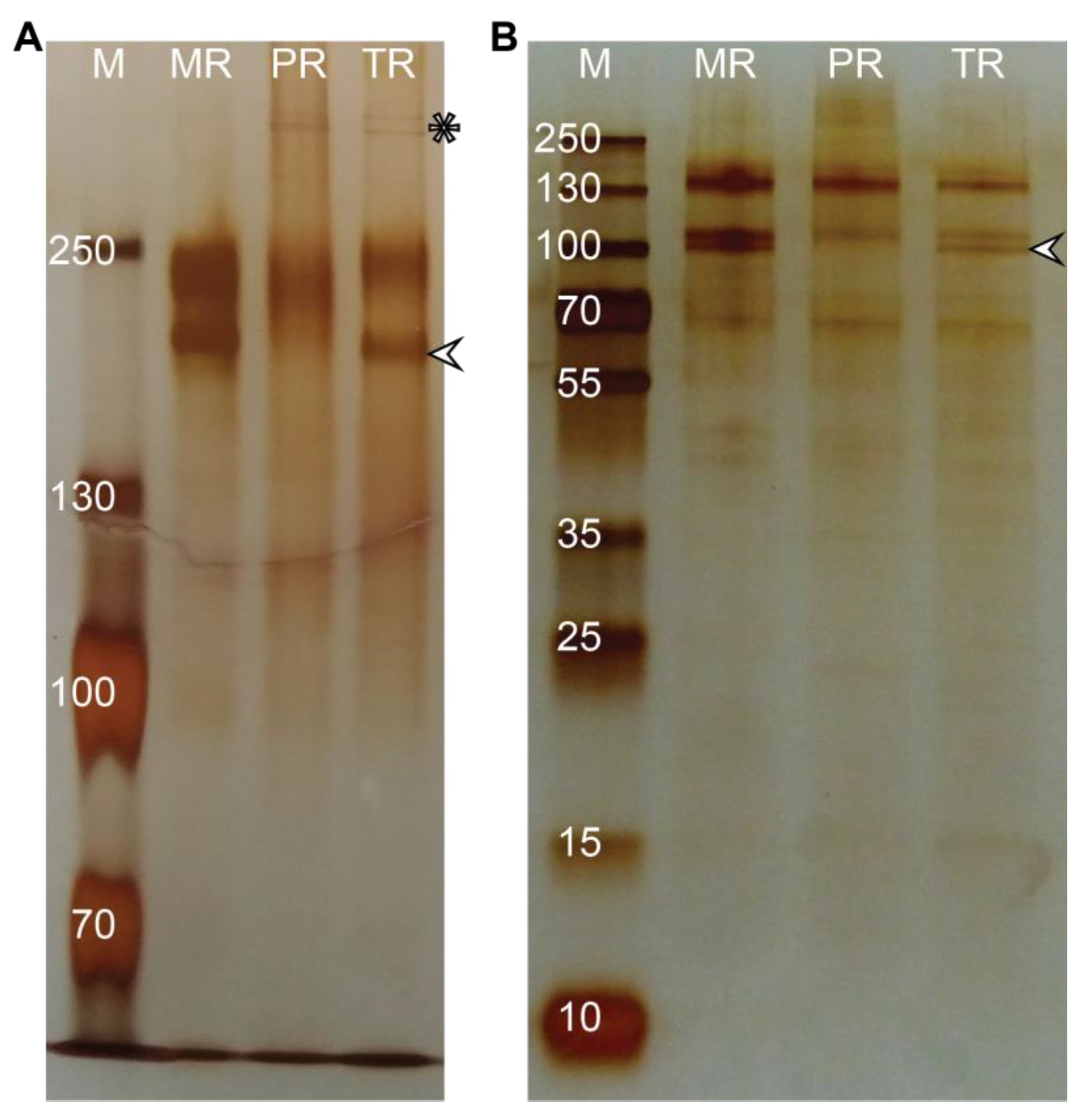 Plants 12 01888 g004 Plants 12 01888 g004