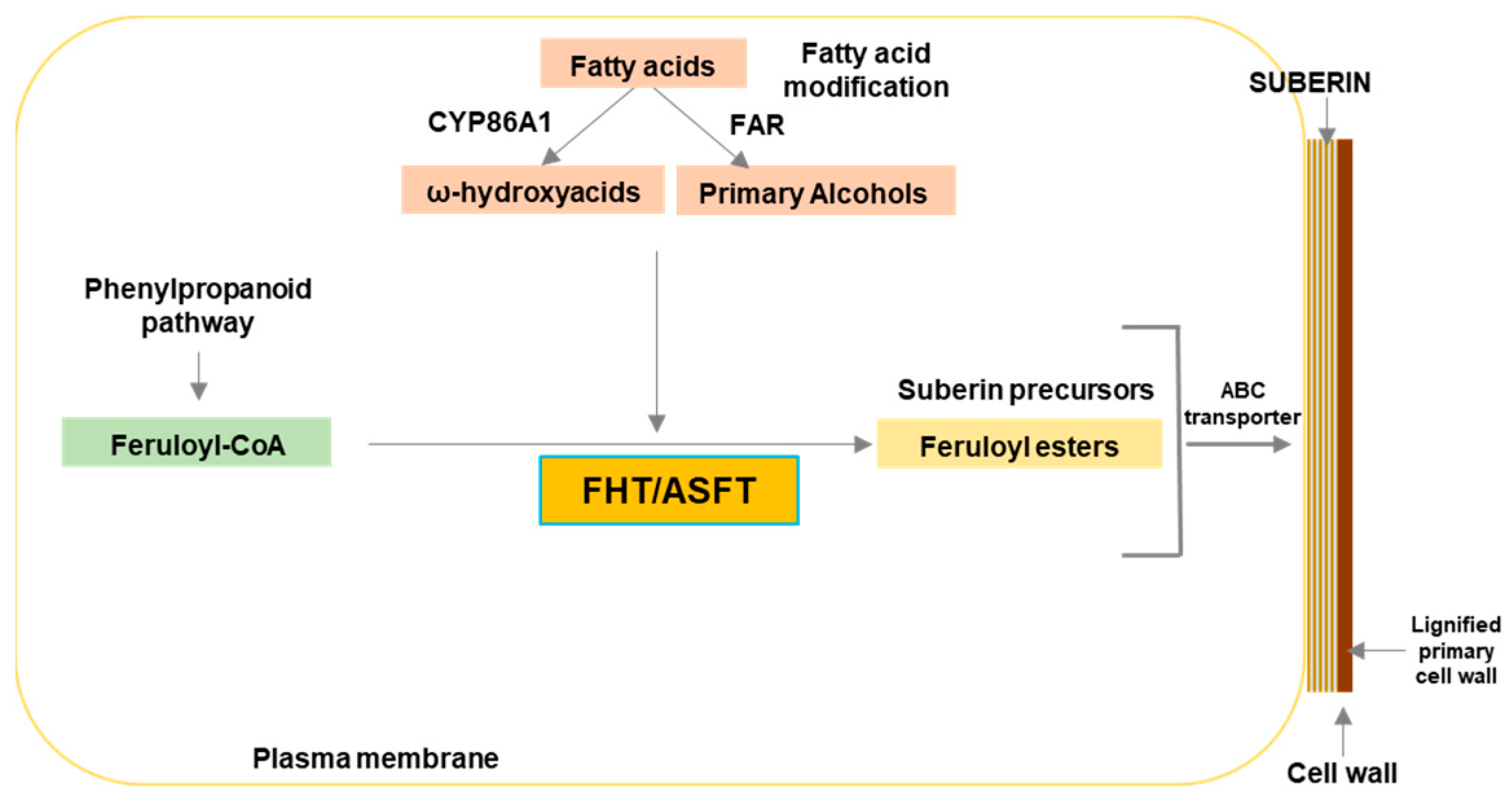 Plants 12 01890 g001