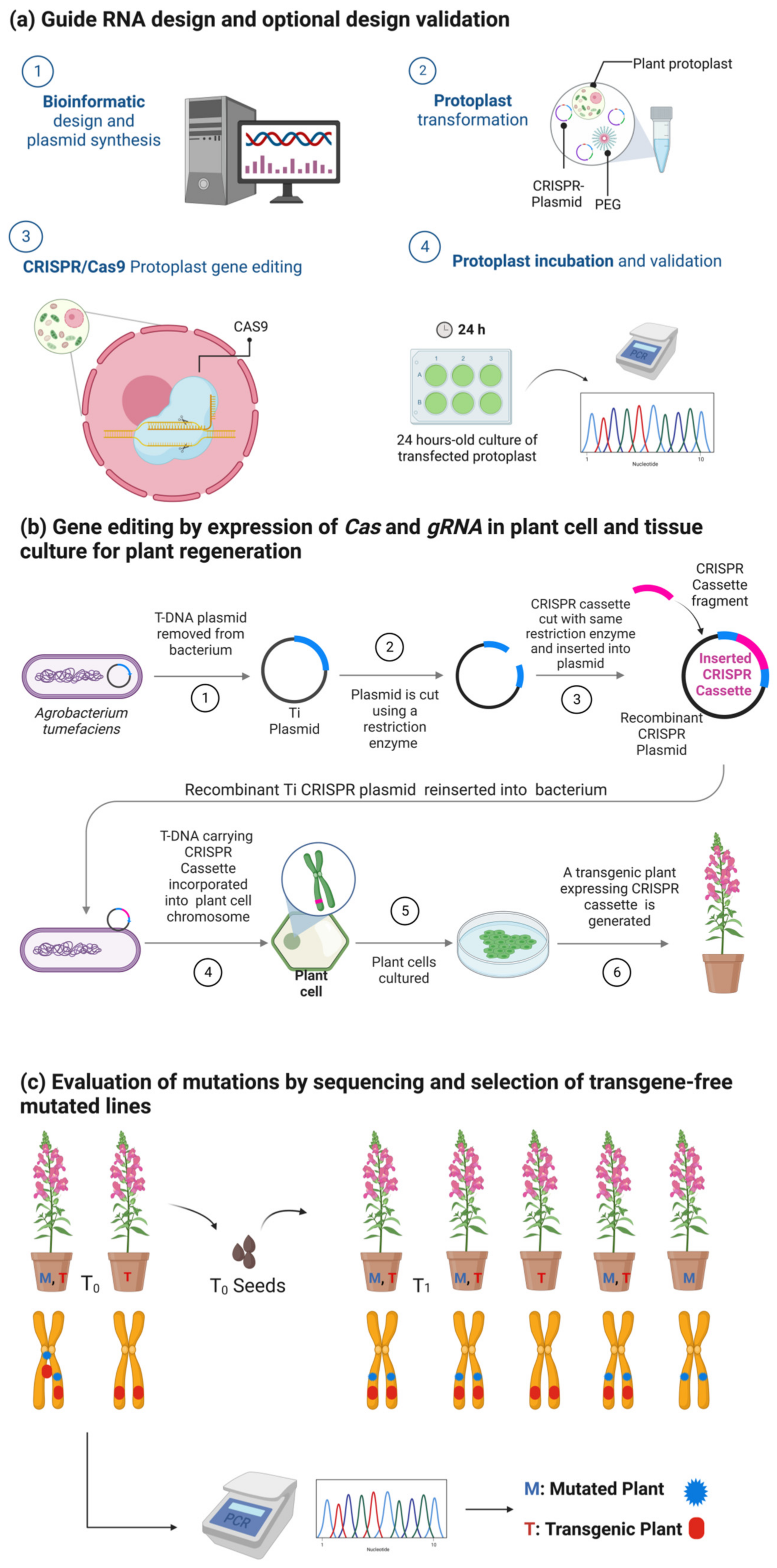 Plants 12 01892 g003