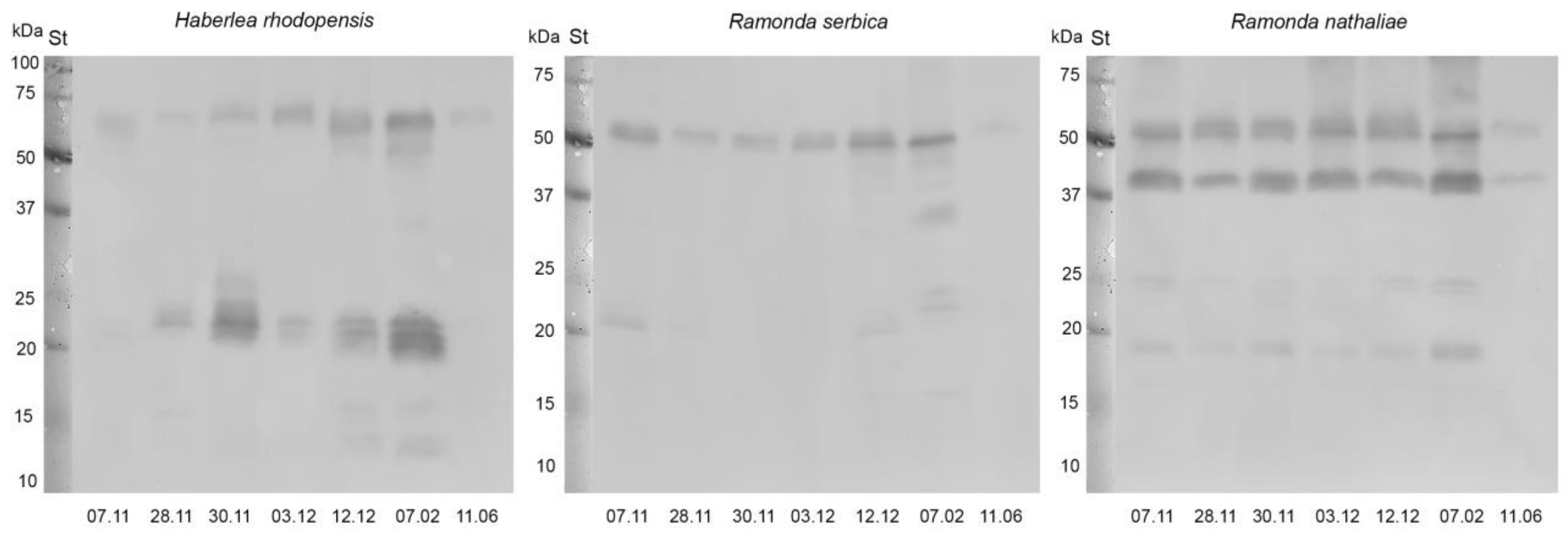 Plants 12 01893 g006