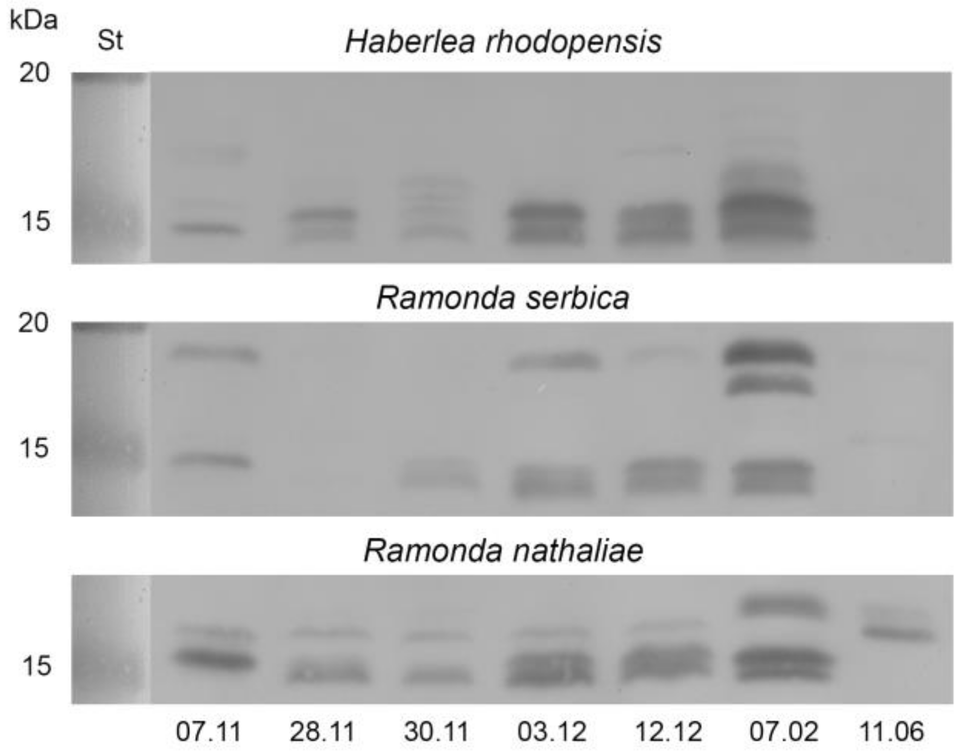Plants 12 01893 g007