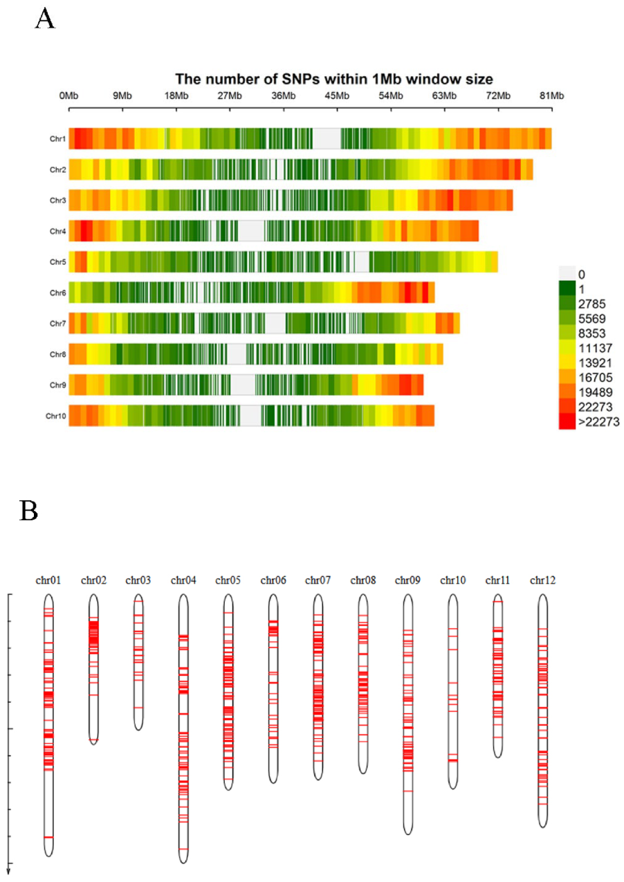 Plants 12 01895 g001