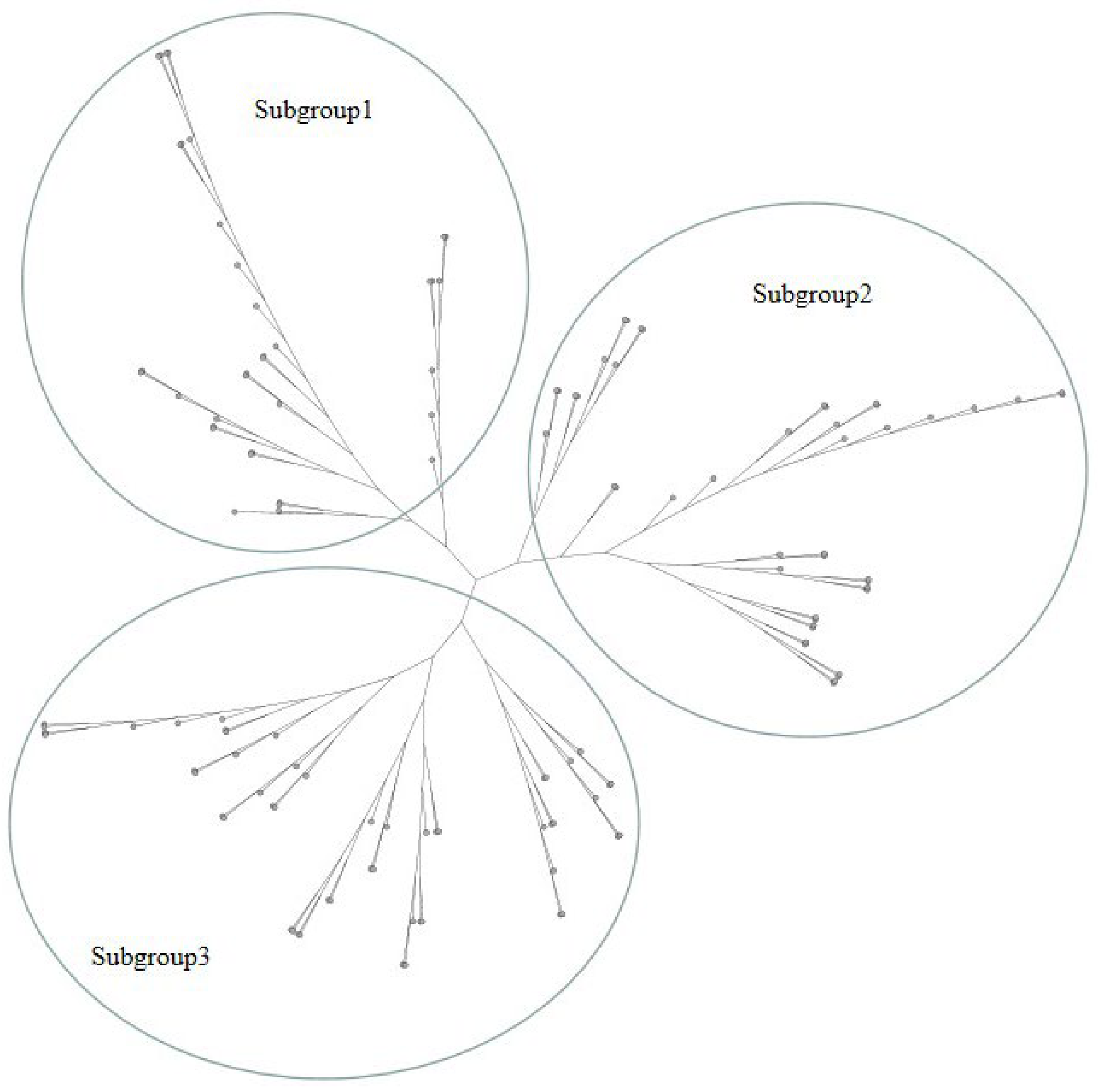 Plants 12 01895 g003