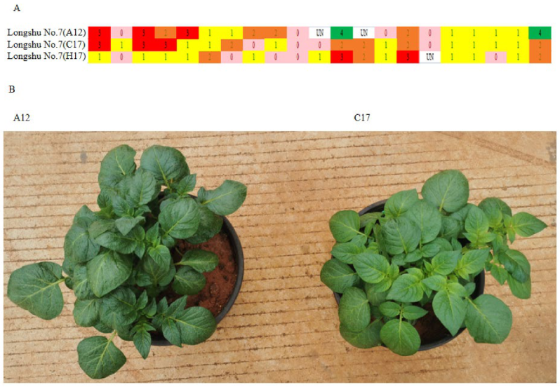 Plants 12 01895 g010